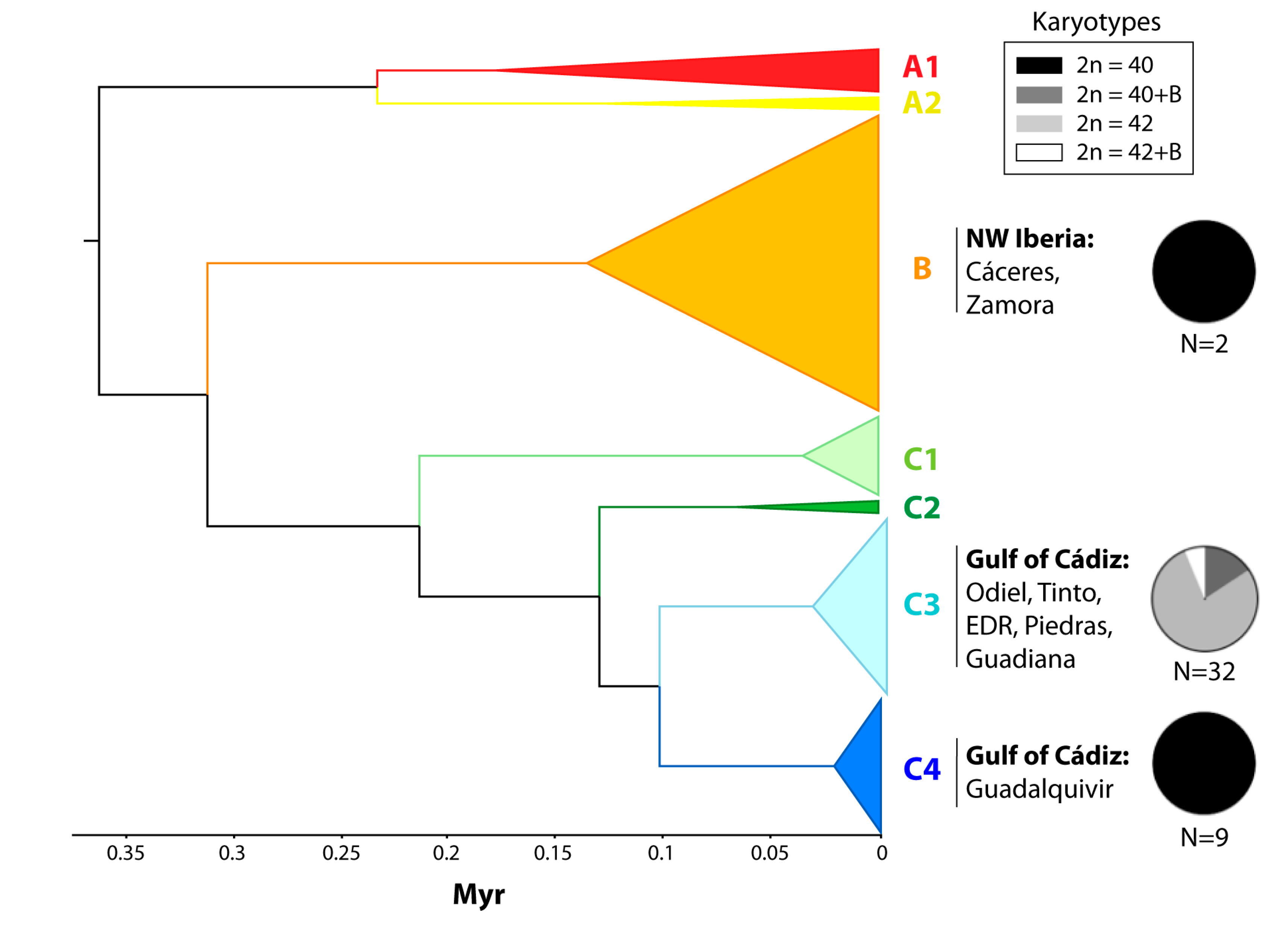 Genes 11 00270 g003