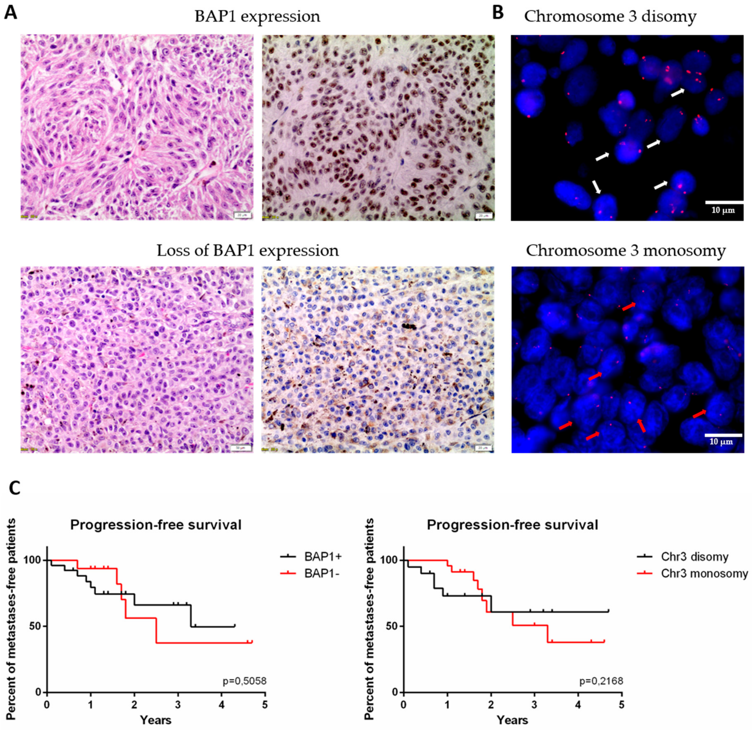 Genes 11 00271 g003 Genes 11 00271 g003