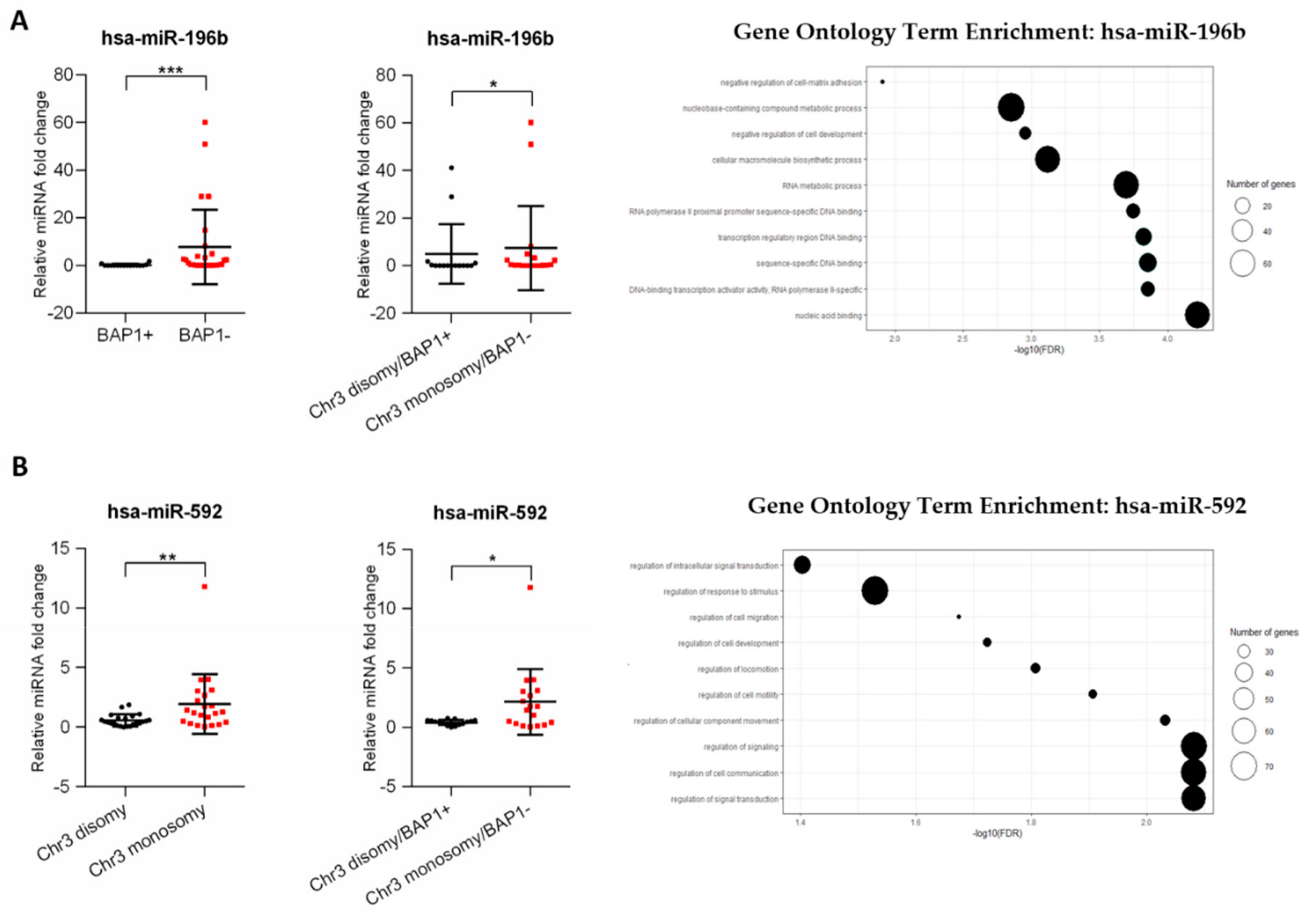 Genes 11 00271 g004 Genes 11 00271 g004
