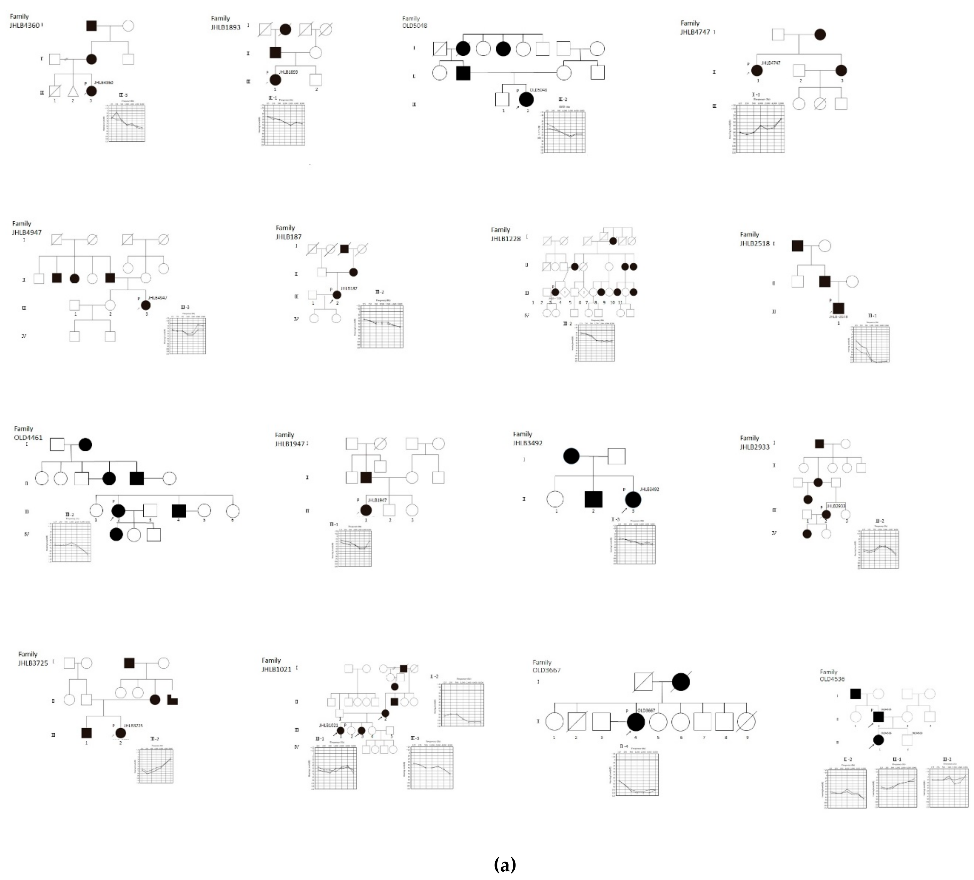 Genes 11 00273 g001a