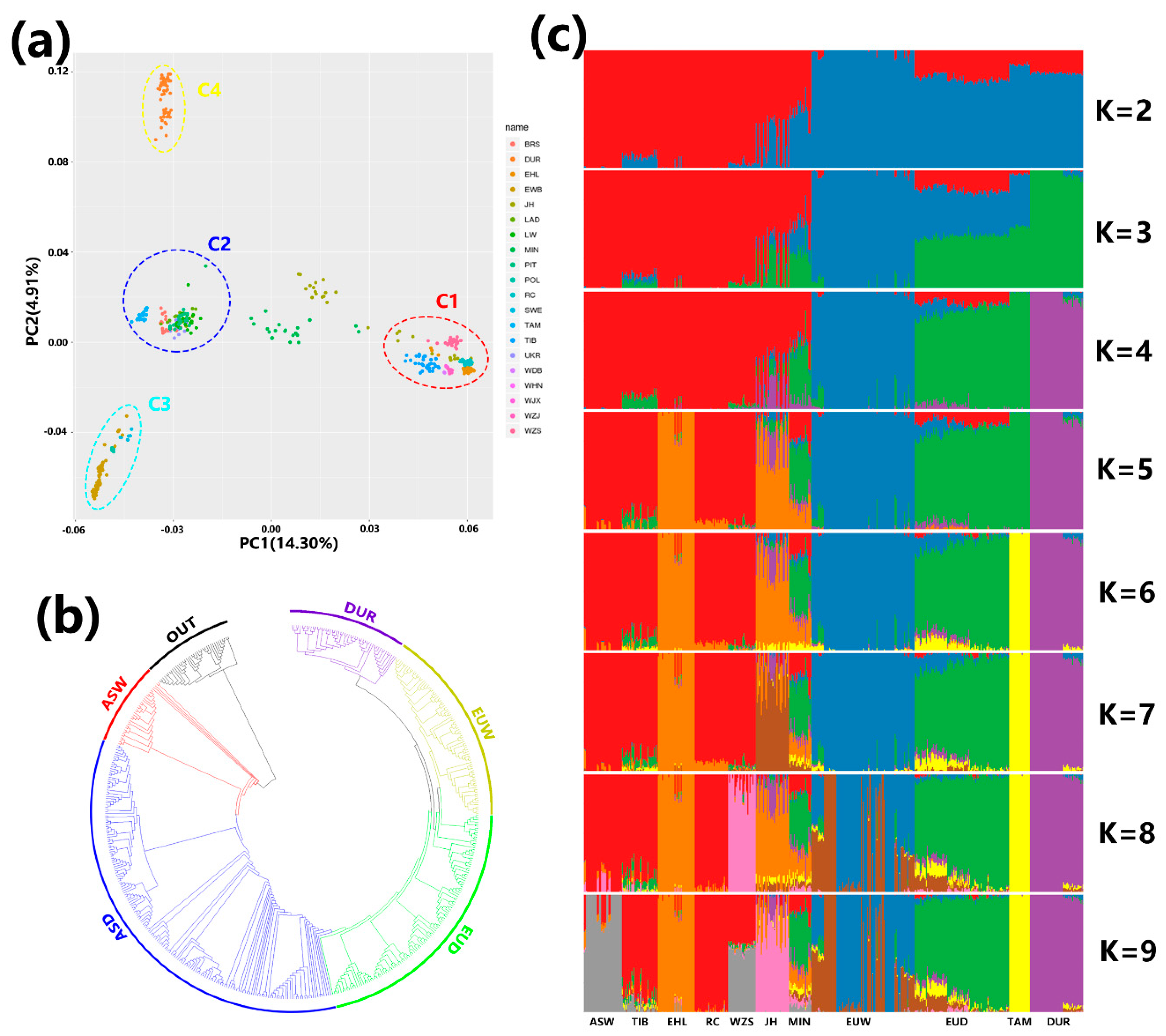 Genes 11 00275 g002 Genes 11 00275 g002