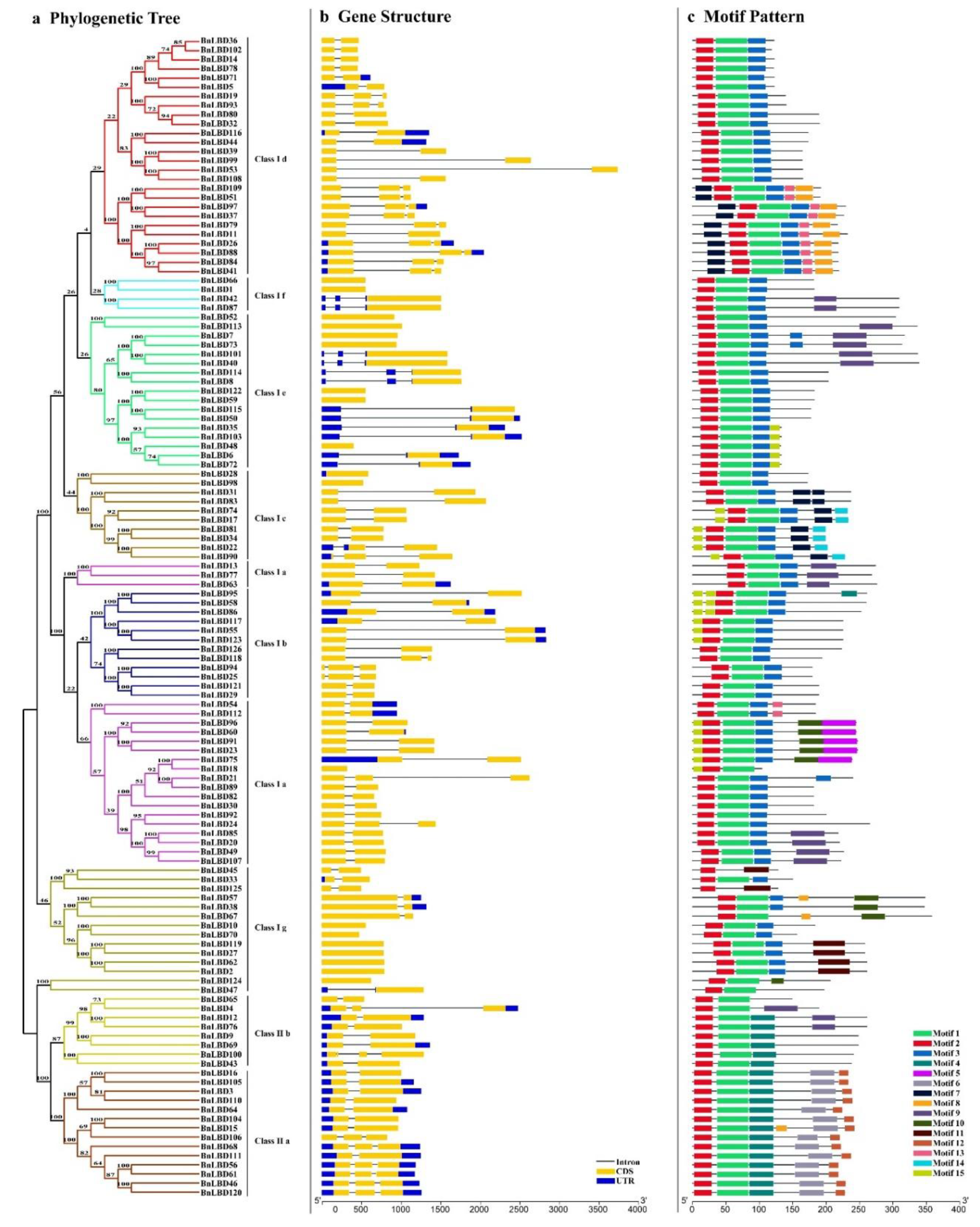 Genes 11 00280 g004 Genes 11 00280 g004