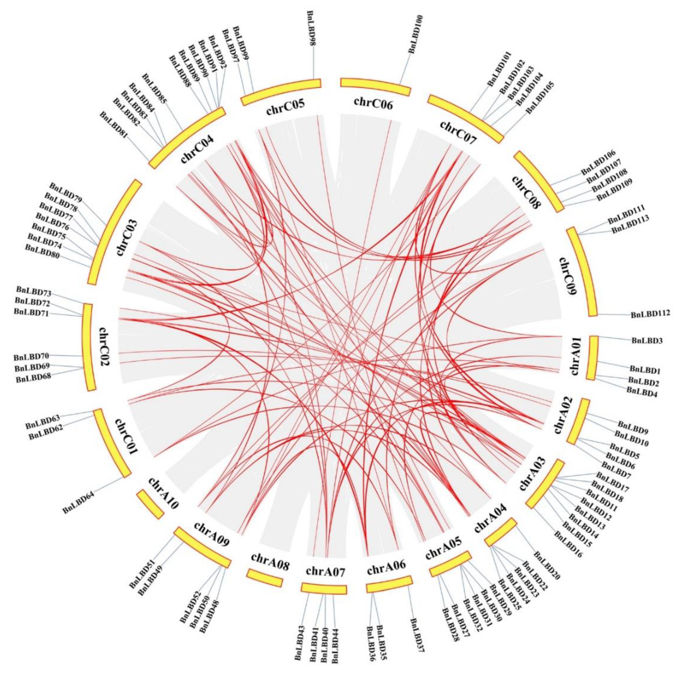 Genes 11 00280 g006 Genes 11 00280 g006