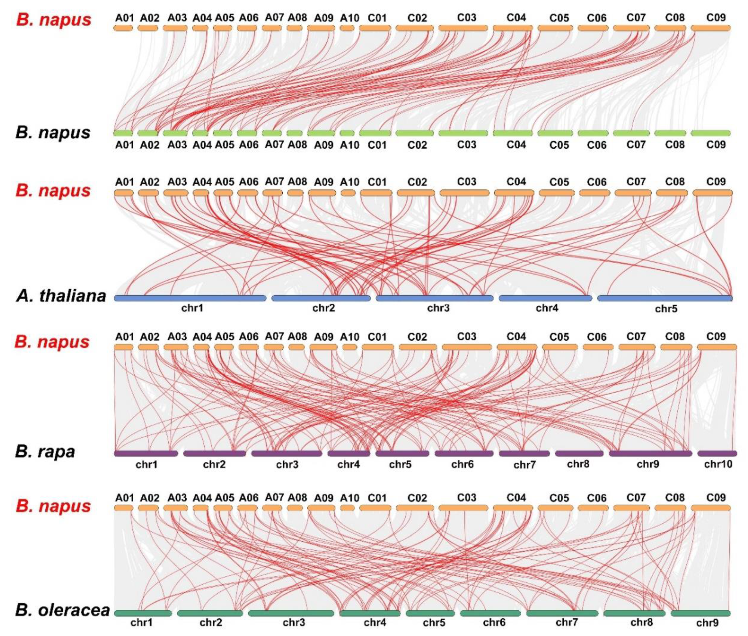 Genes Free FullText GenomeWide Analysis of the Lateral Organ Boundaries Domain Gene Family