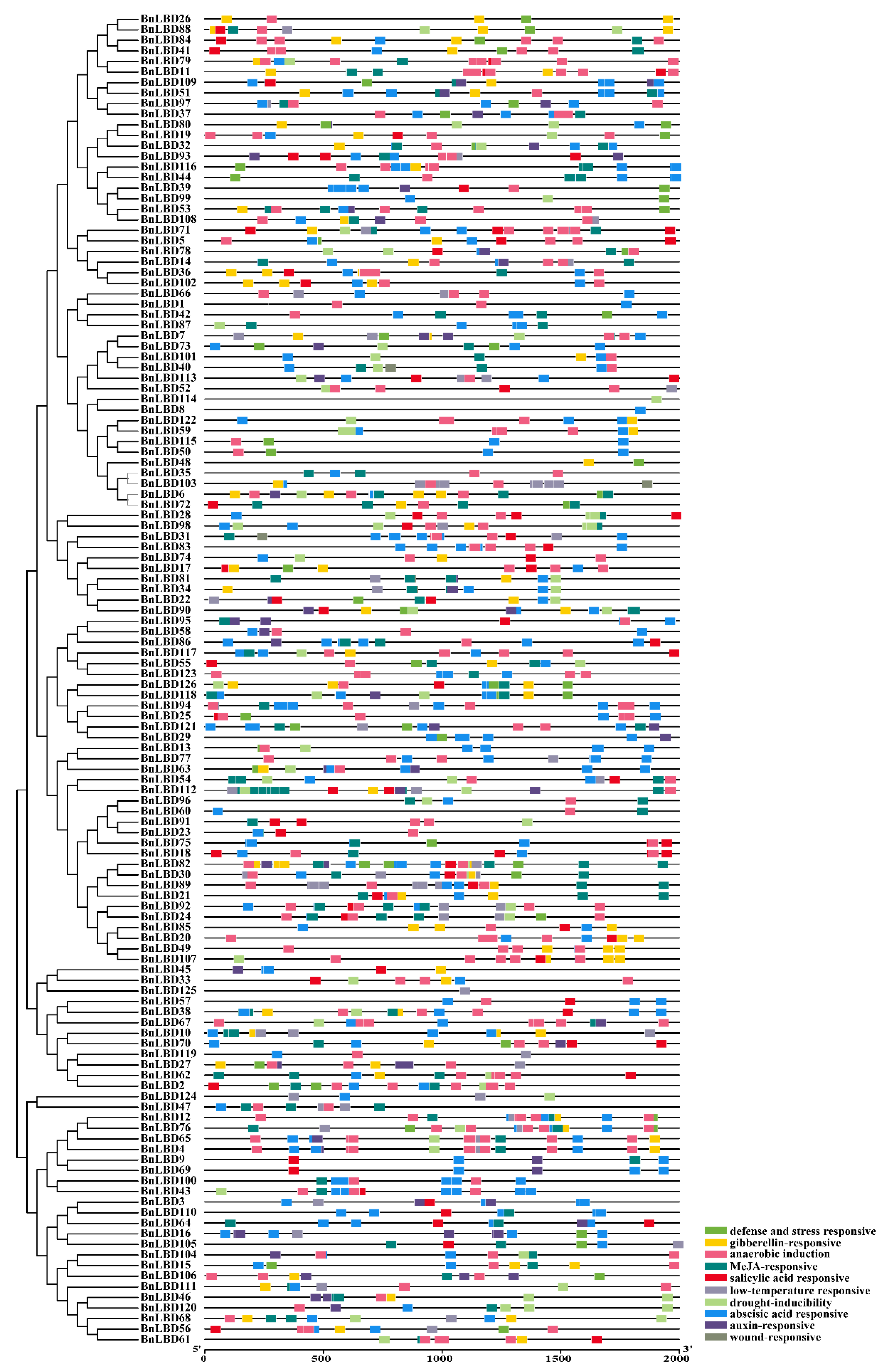 Genes 11 00280 g009 Genes 11 00280 g009