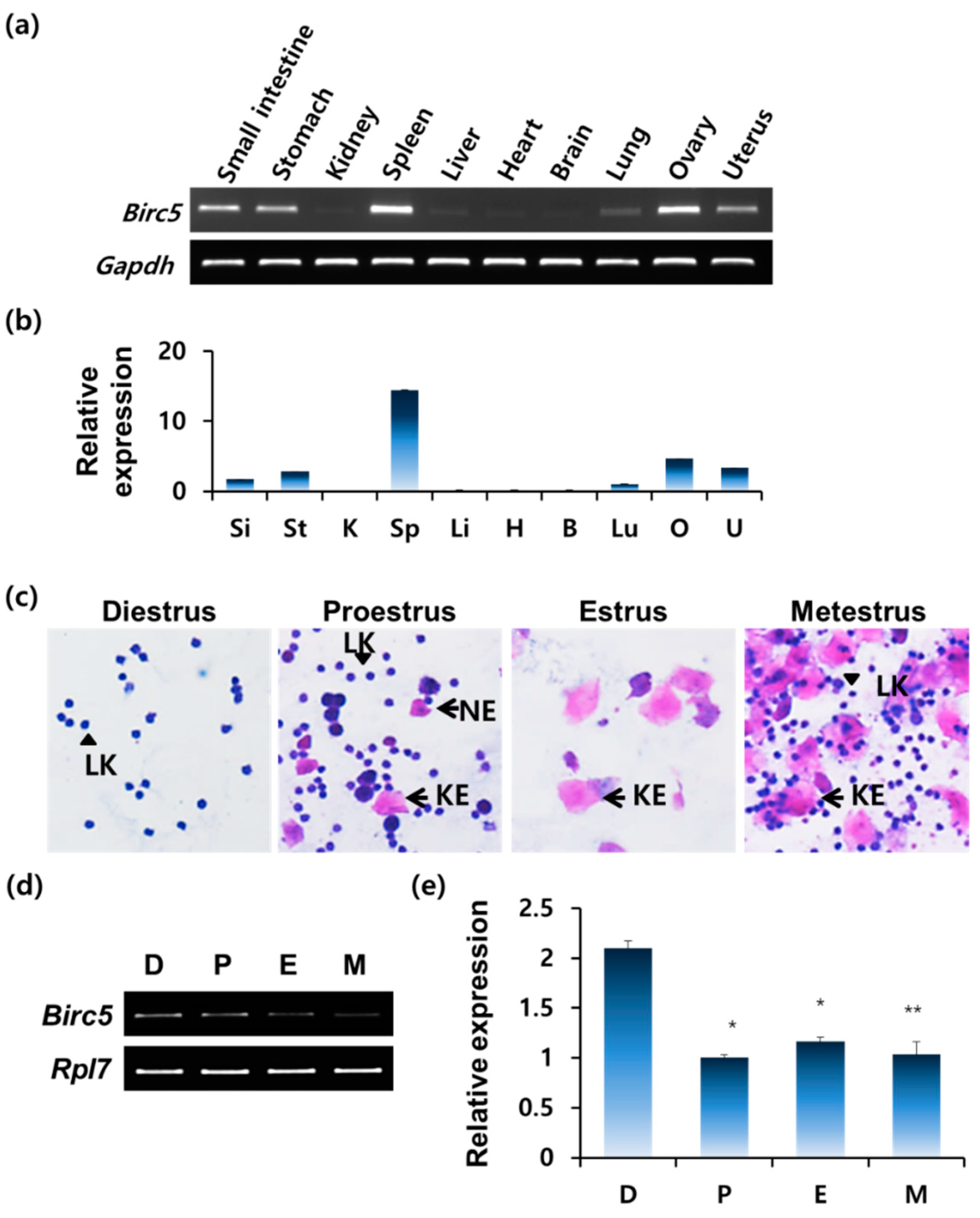 Genes 11 00282 g001 Genes 11 00282 g001