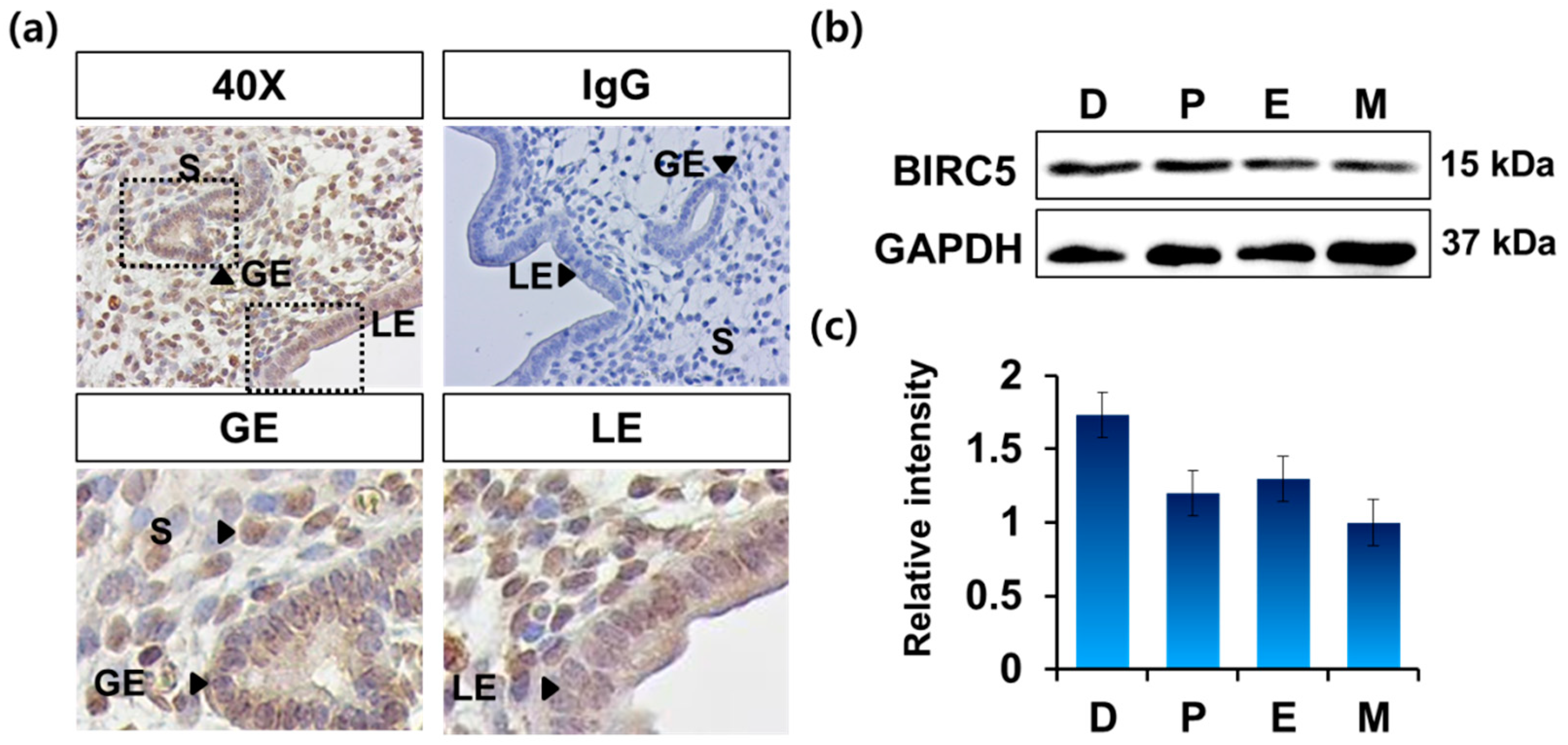 Genes 11 00282 g002 Genes 11 00282 g002