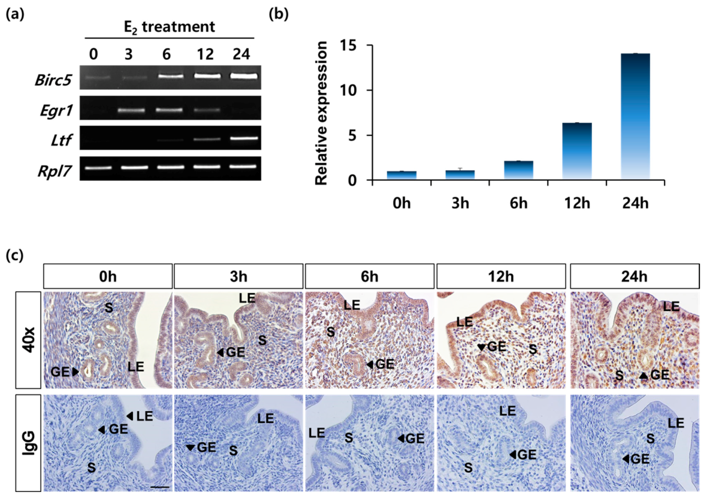 Genes 11 00282 g003 Genes 11 00282 g003