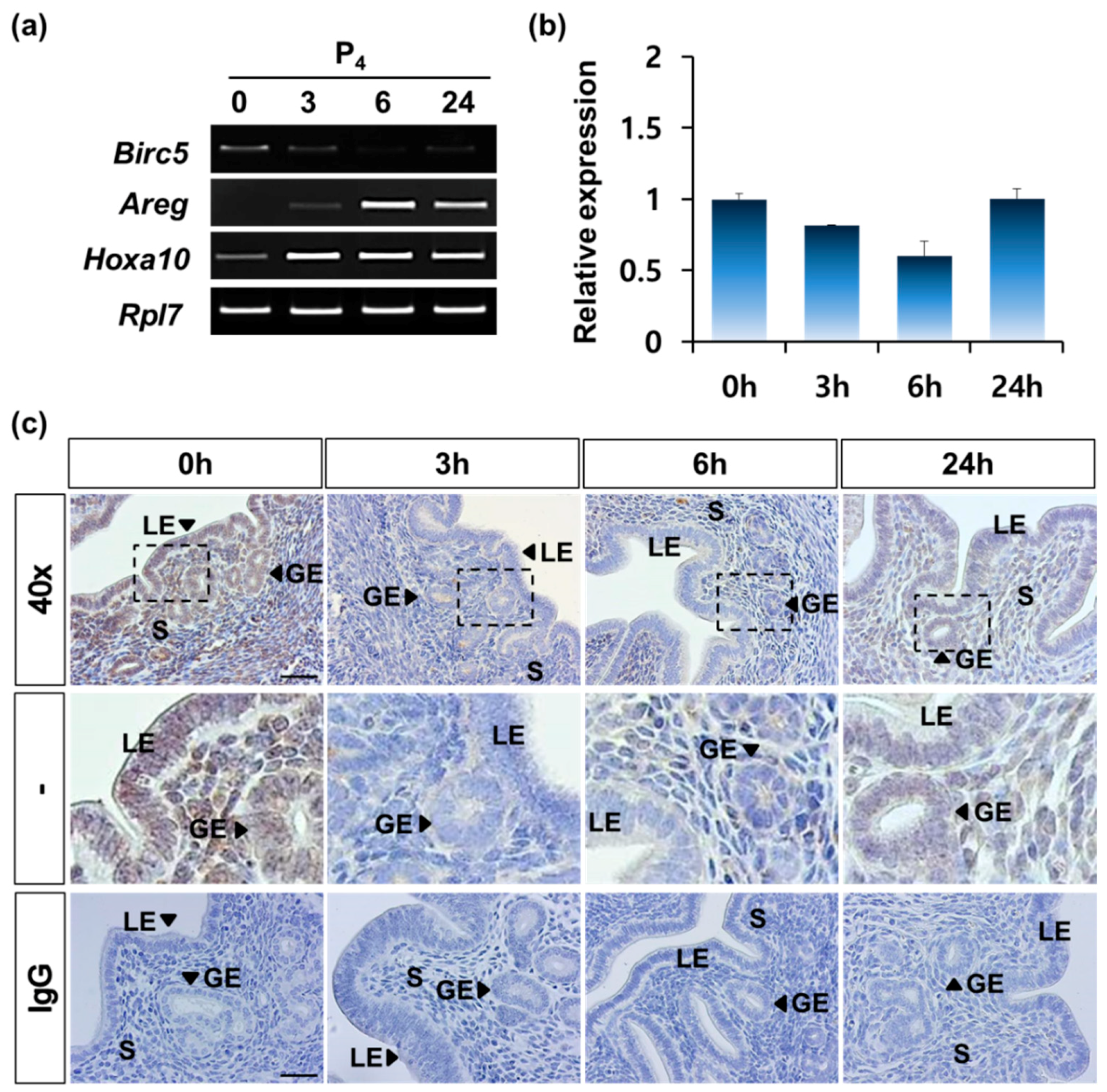 Genes 11 00282 g004 Genes 11 00282 g004