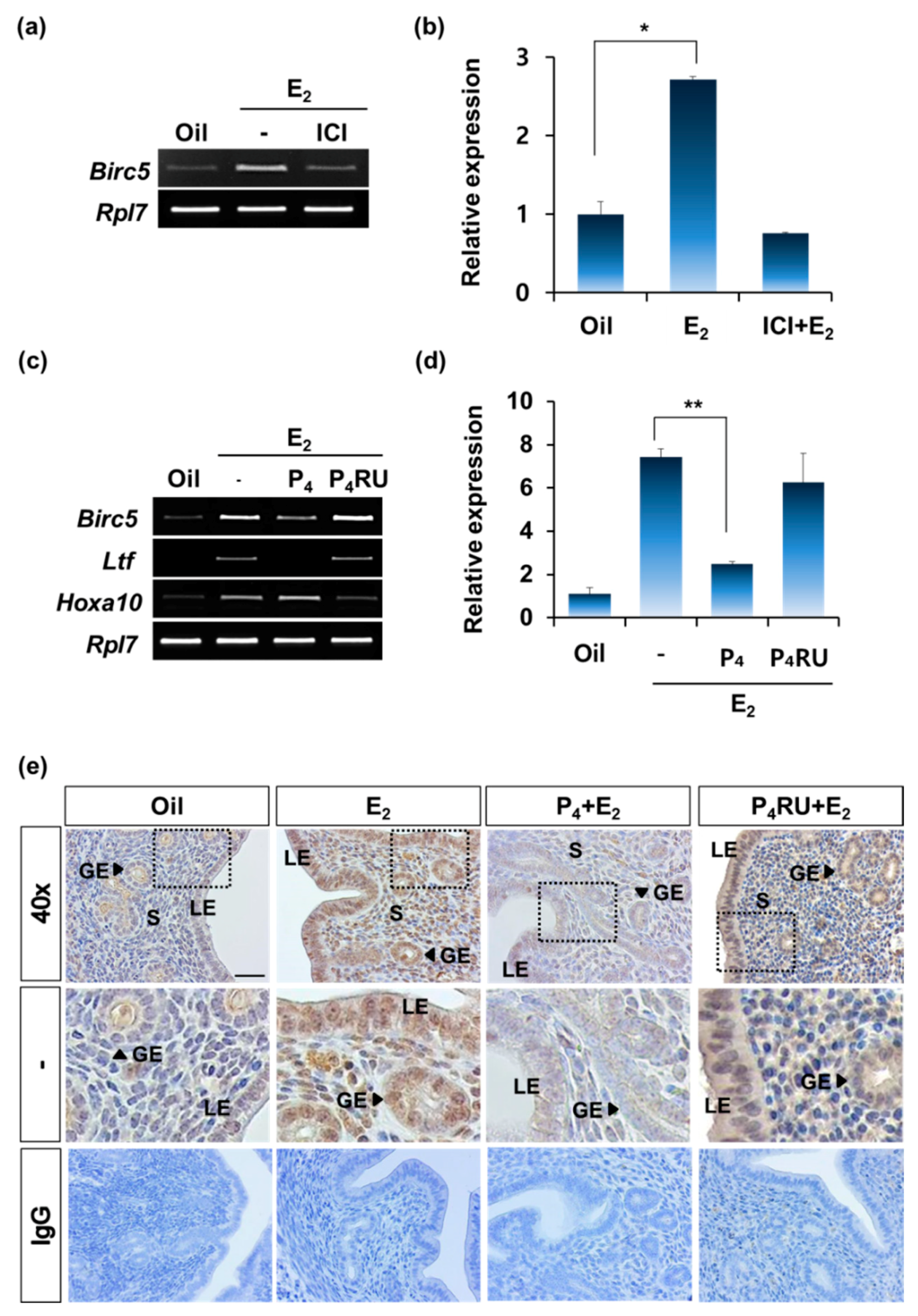 Genes 11 00282 g005 Genes 11 00282 g005