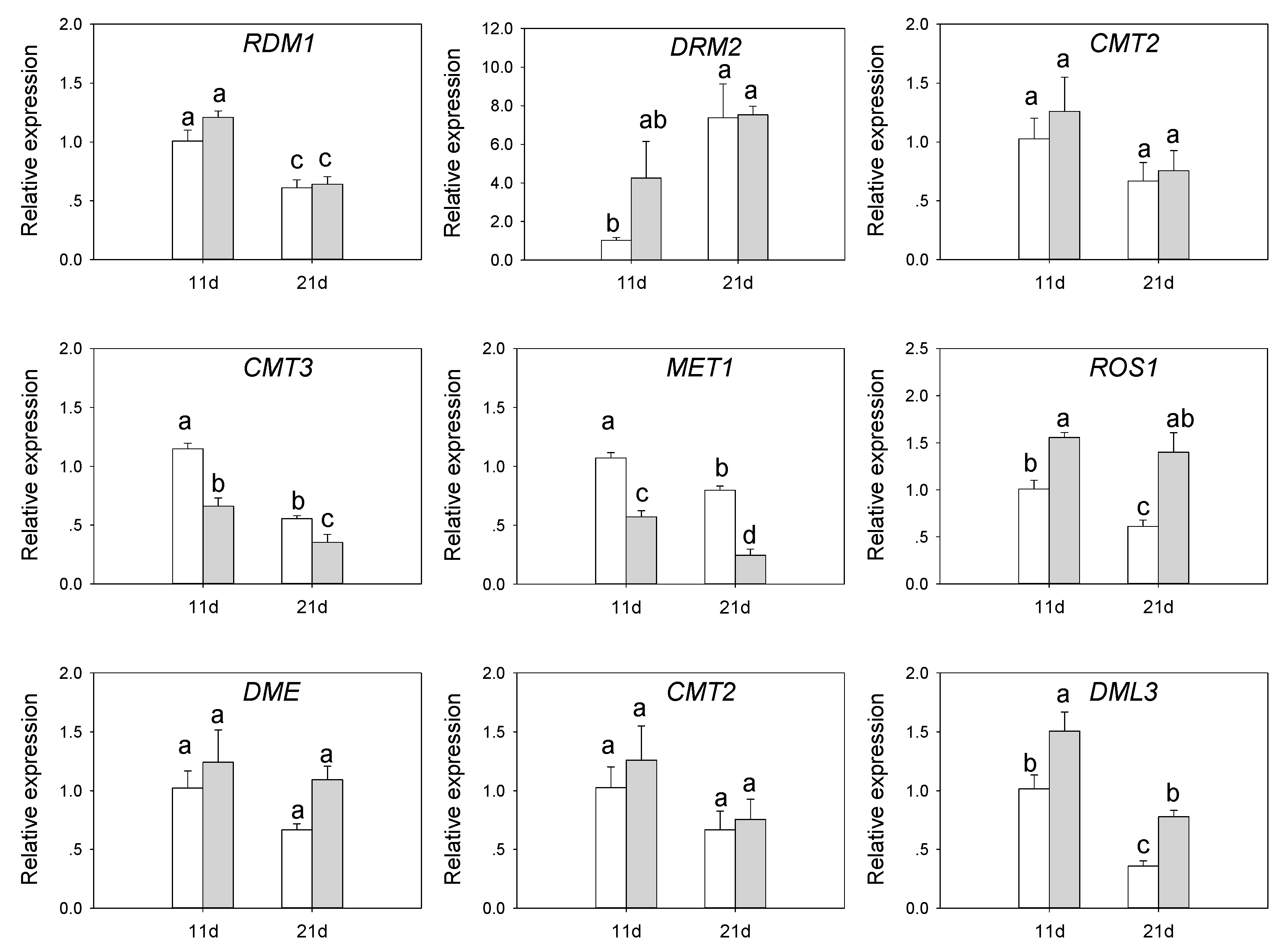 Genes 11 00285 g009 Genes 11 00285 g009
