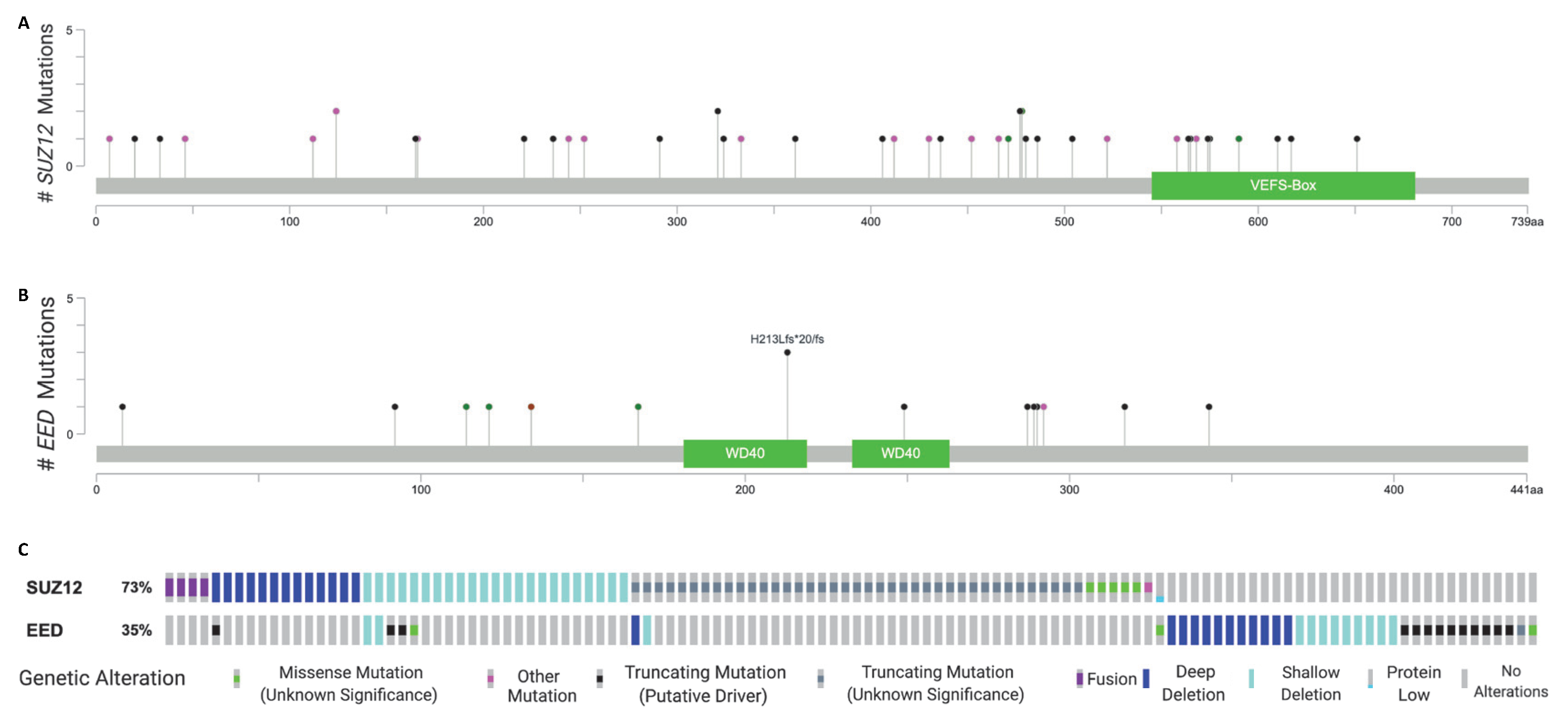 Genes 11 00287 g002 Genes 11 00287 g002