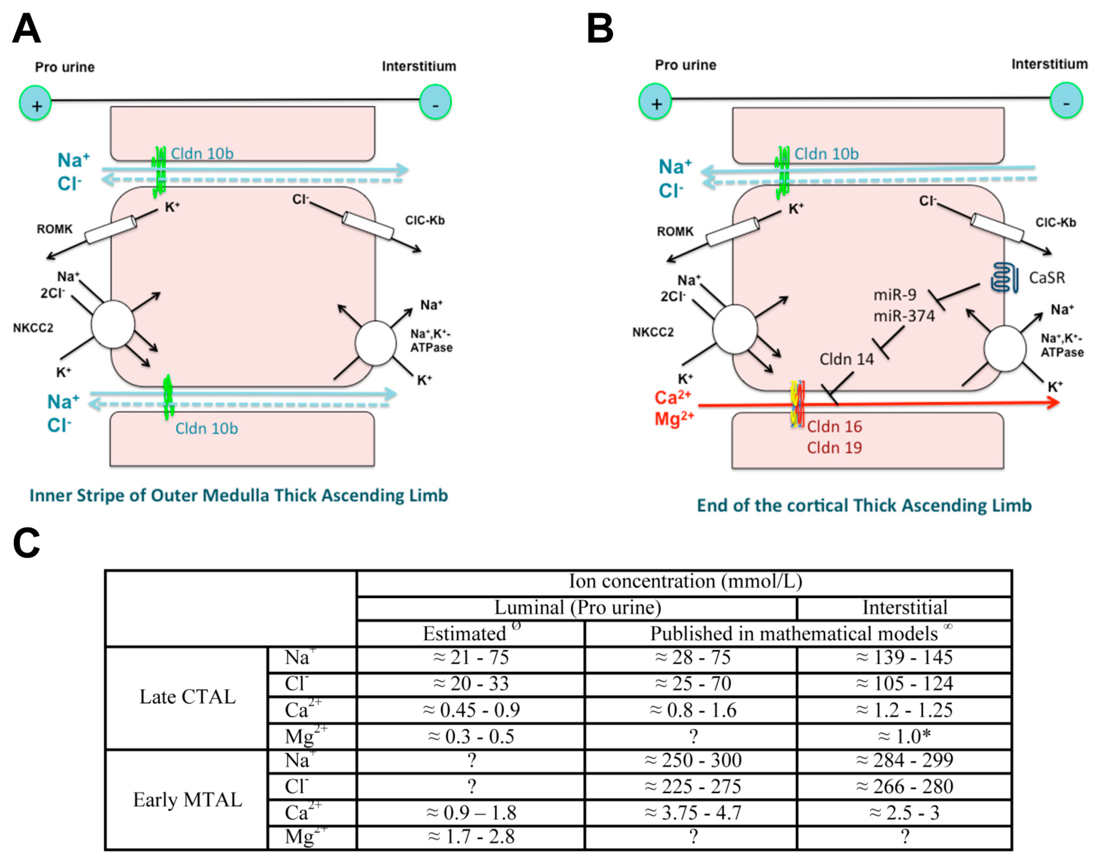 Genes 11 00290 g002