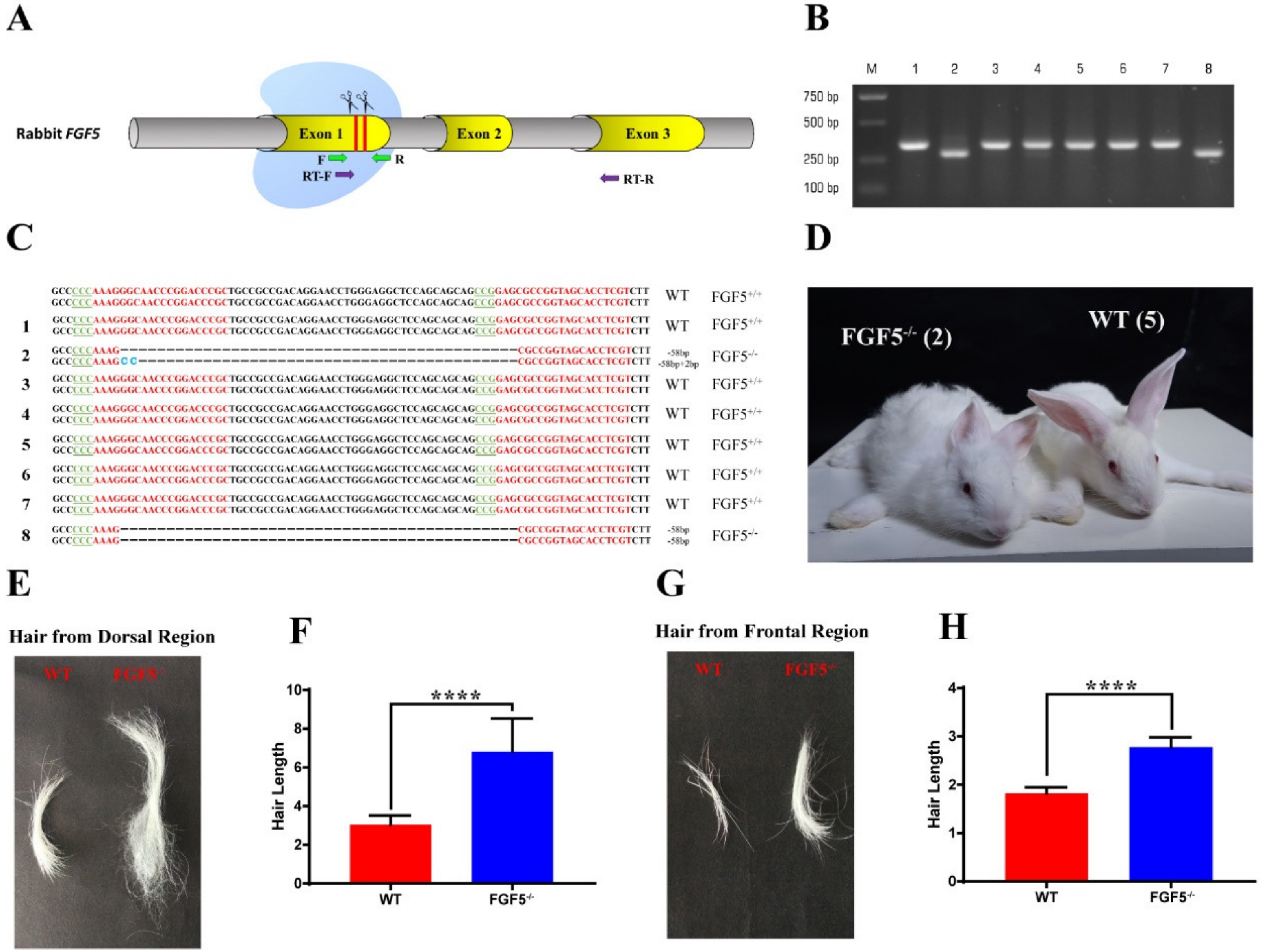 Genes 11 00297 g001 Genes 11 00297 g001