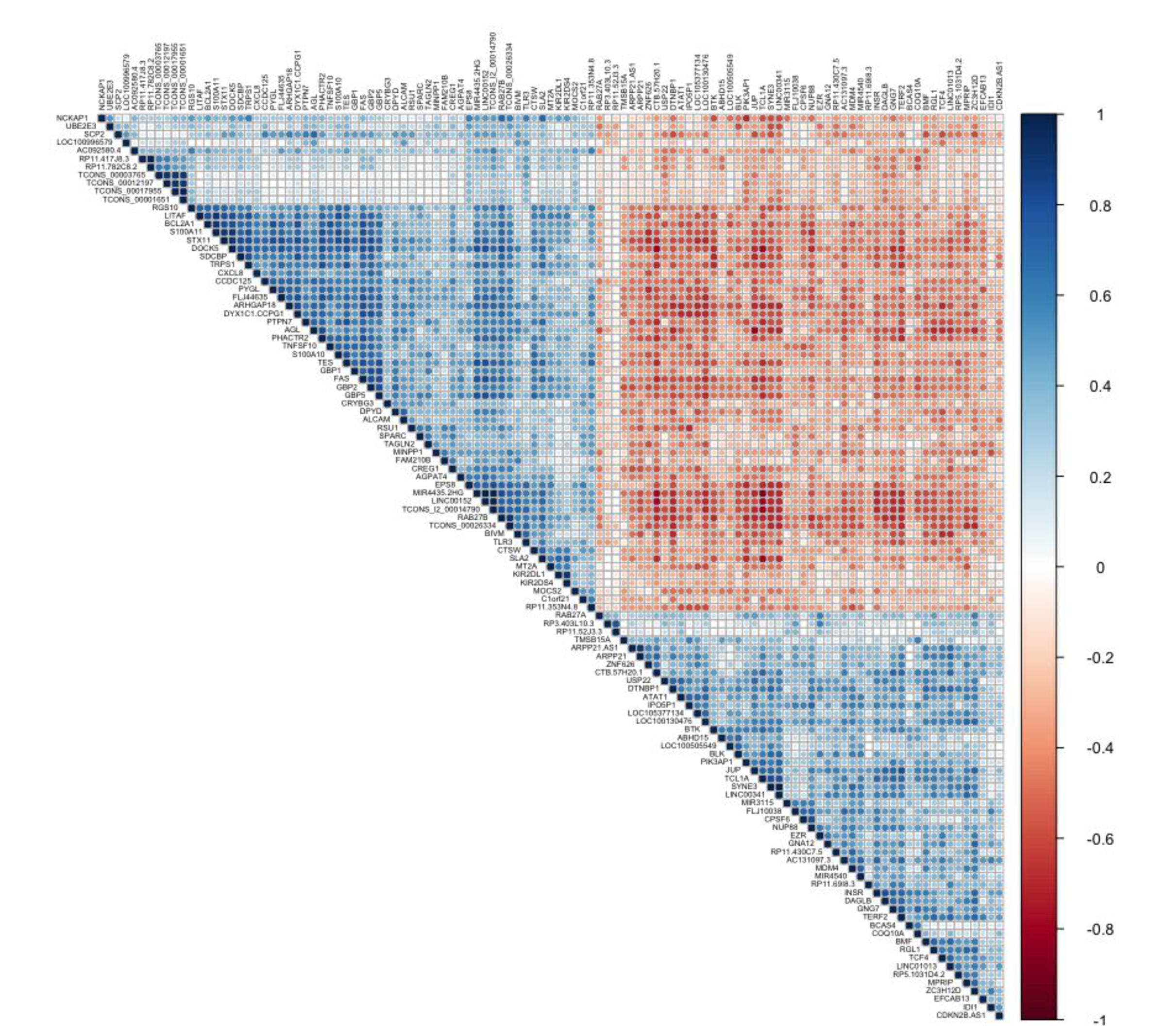 Genes 11 00302 g002 Genes 11 00302 g002