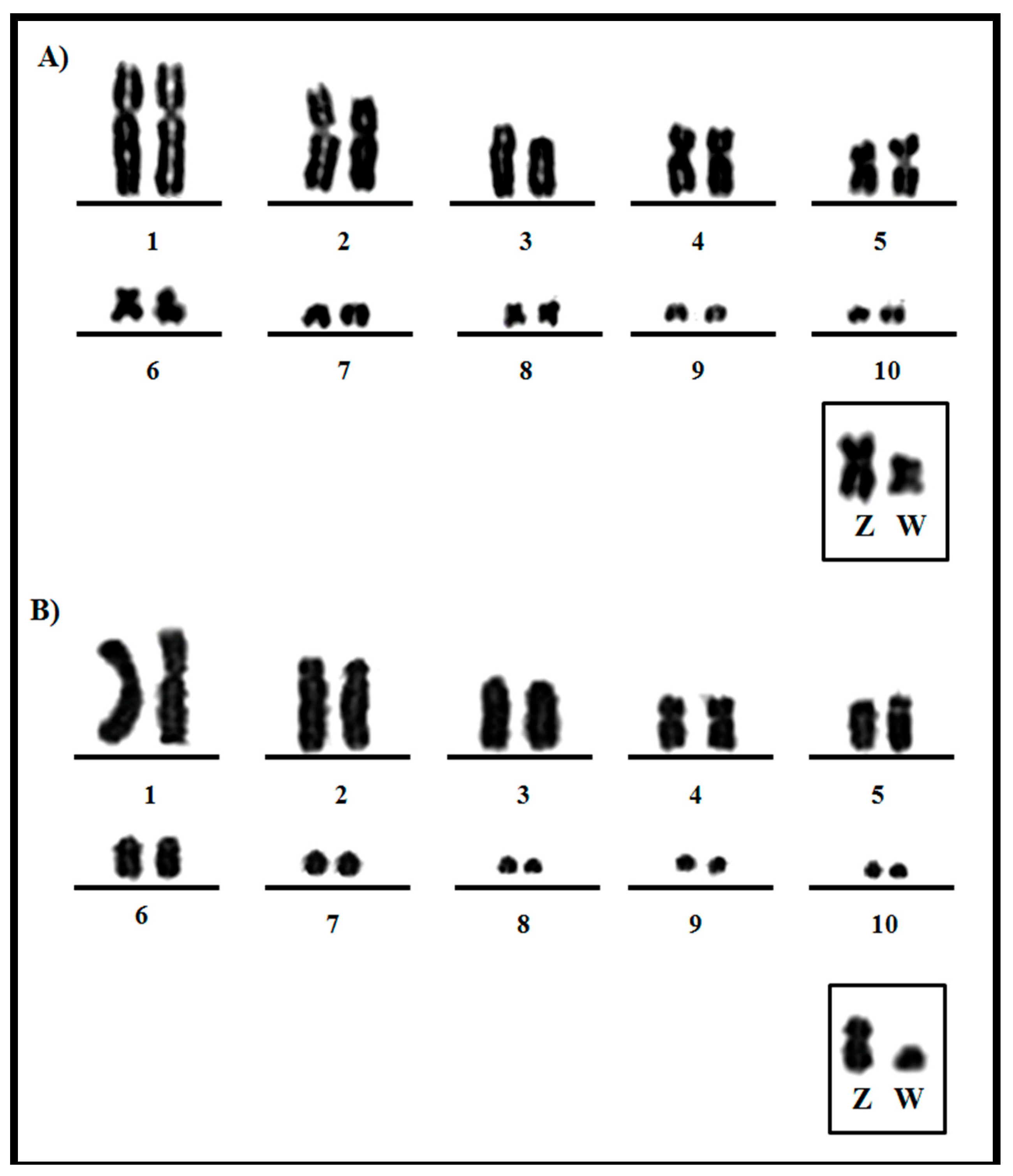 Genes 11 00307 g001 Genes 11 00307 g001