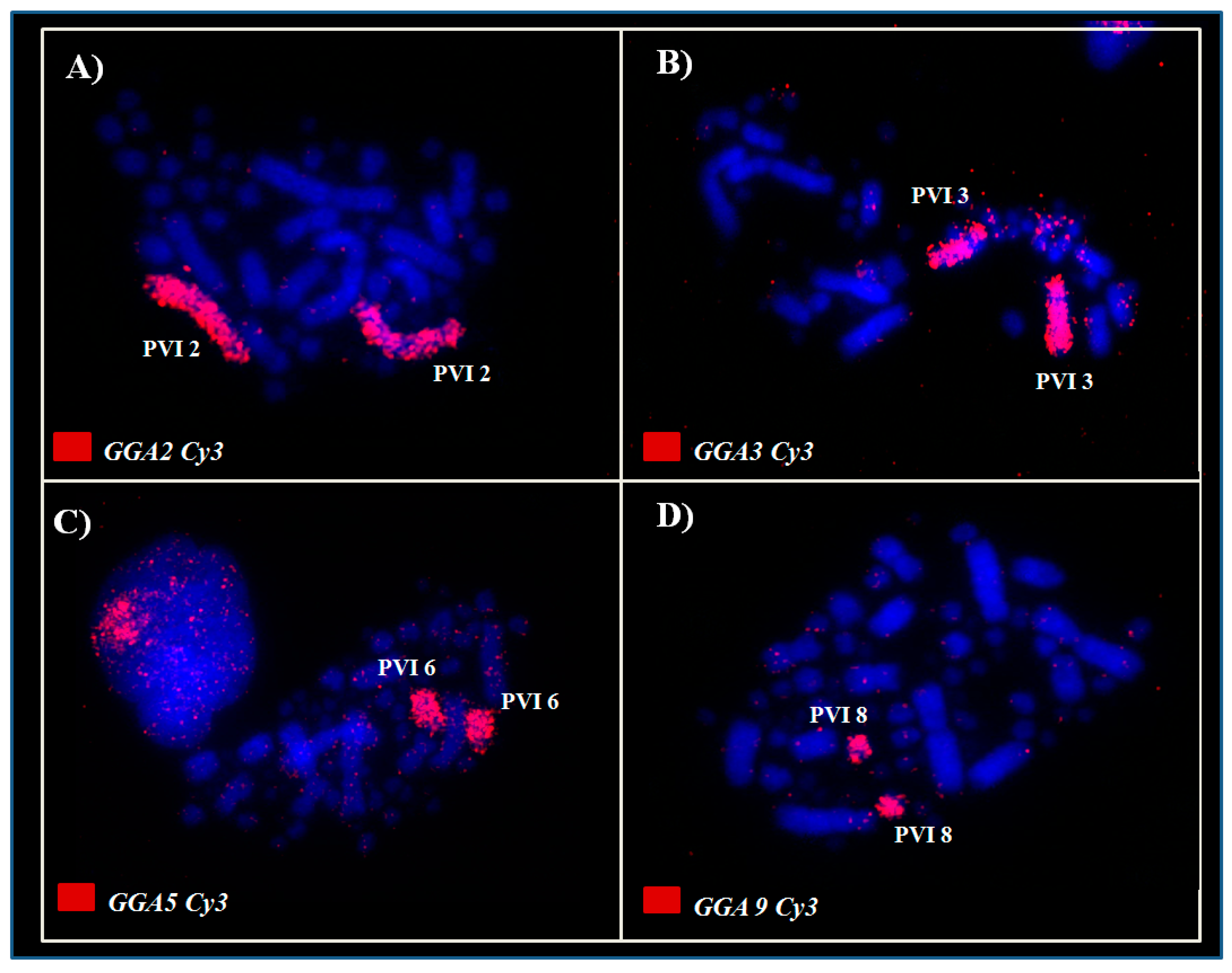 Genes 11 00307 g003 Genes 11 00307 g003
