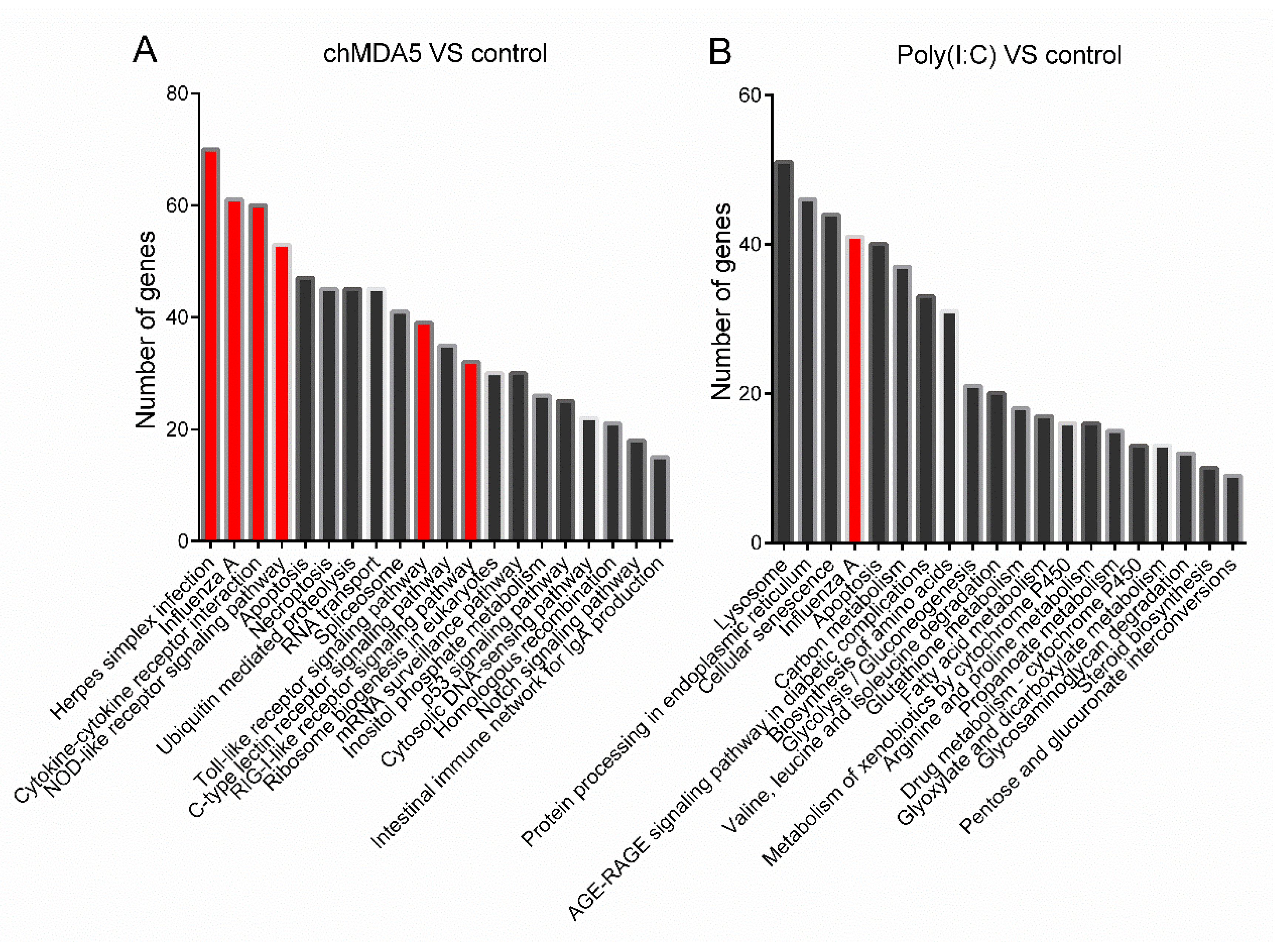 Genes 11 00308 g003 Genes 11 00308 g003