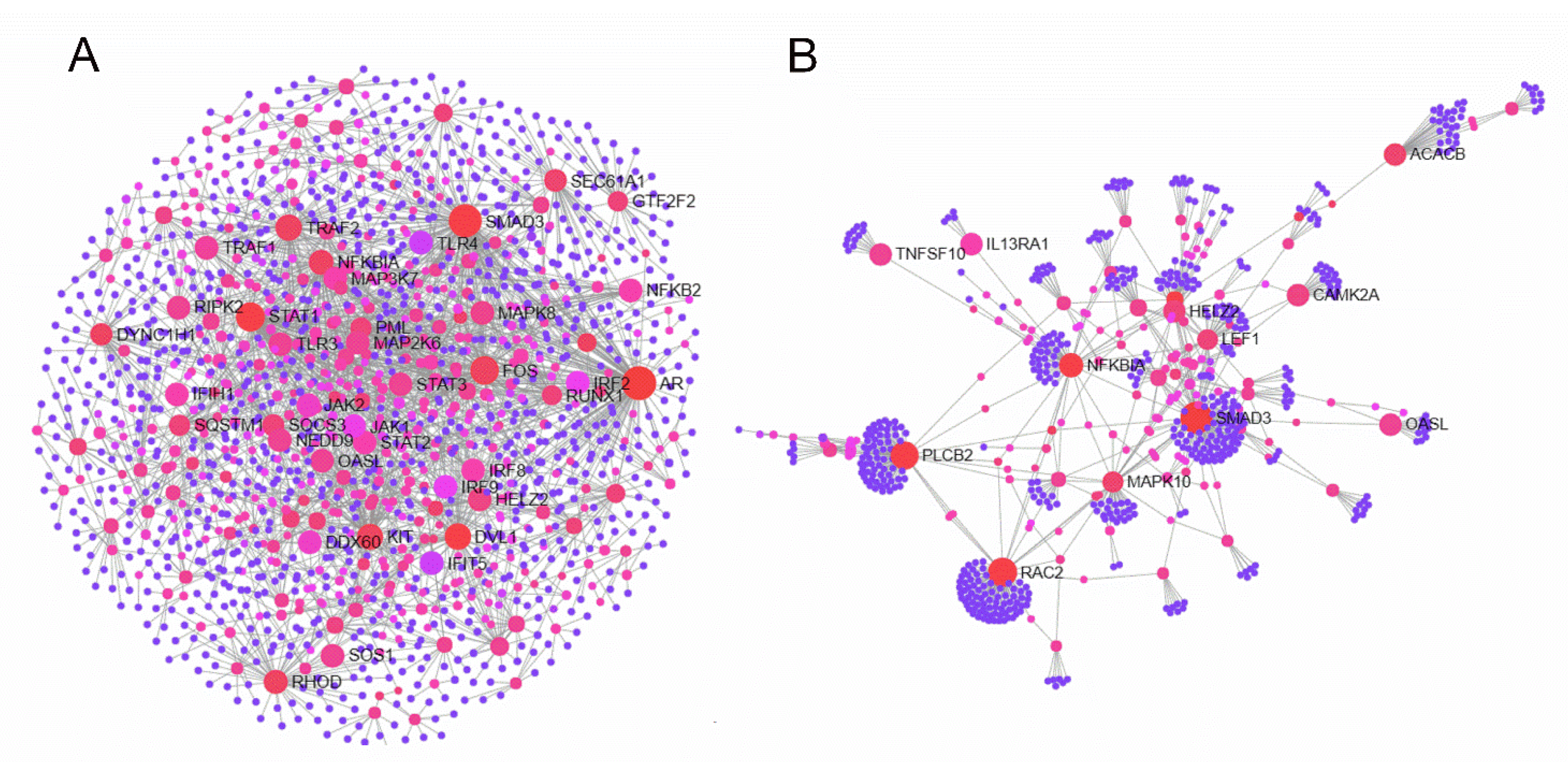 Genes 11 00308 g004 Genes 11 00308 g004