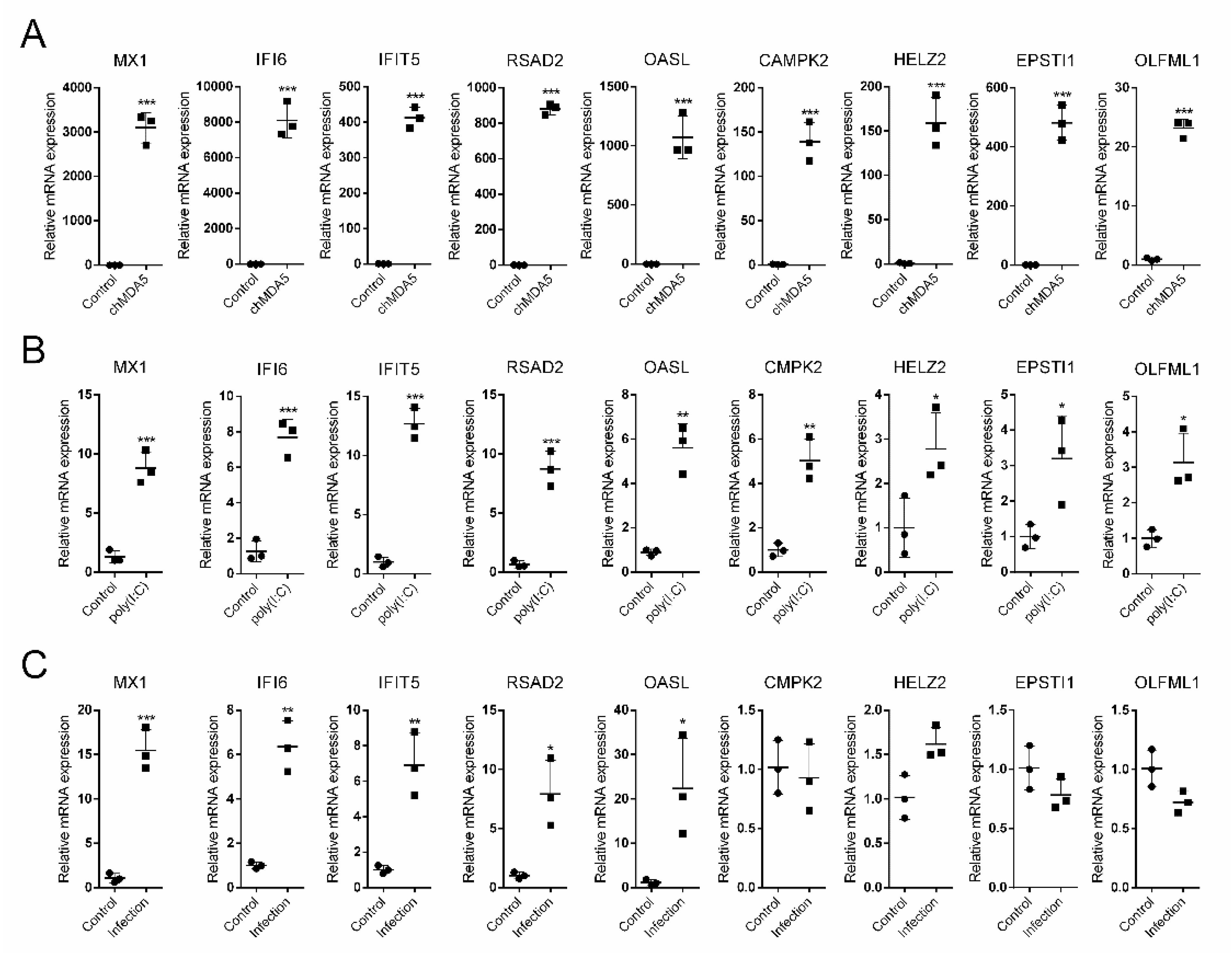 Genes 11 00308 g005 Genes 11 00308 g005