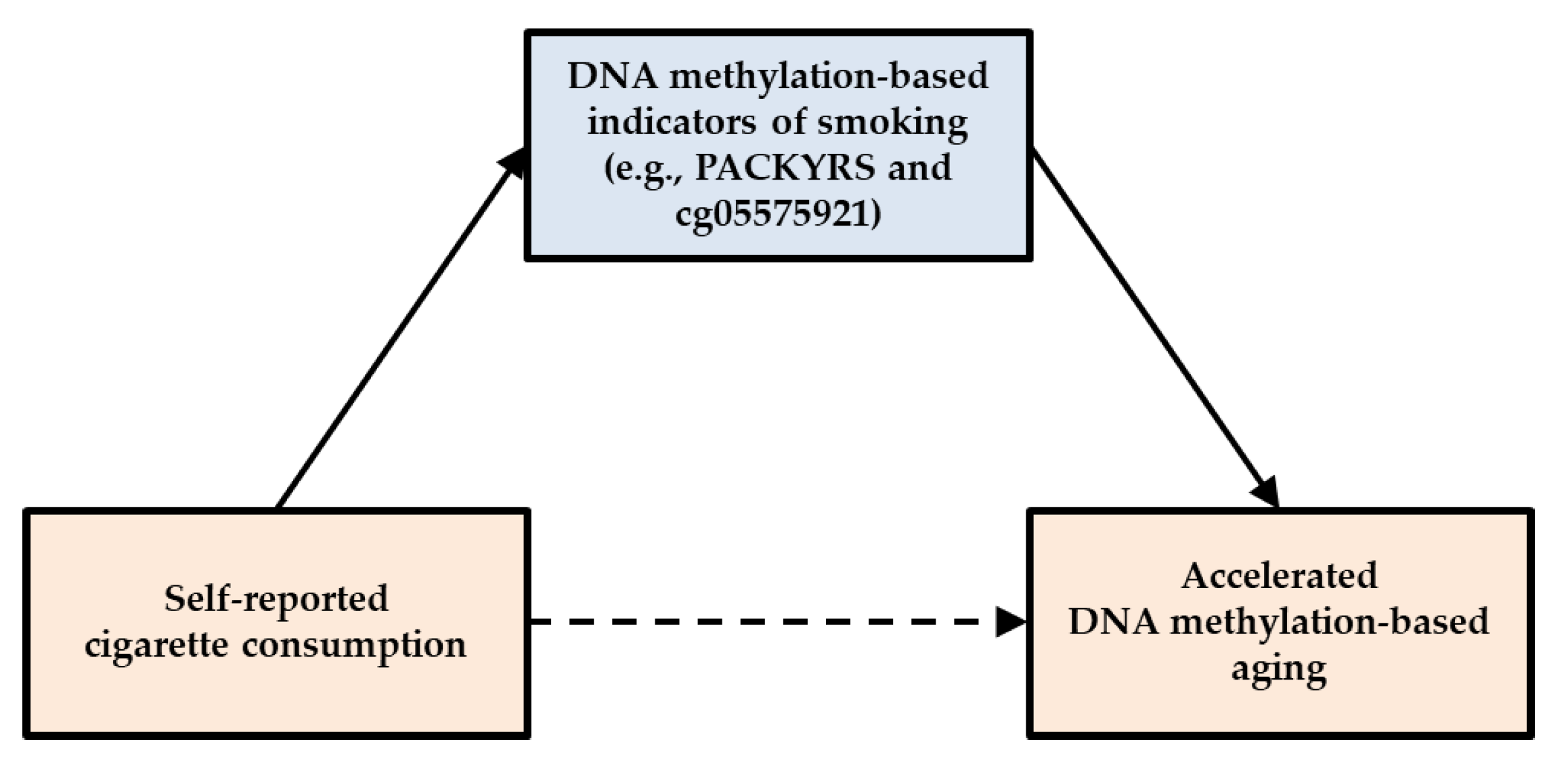 Genes Free Full Text The Effect Of Tobacco Smoking Differs Across Indices Of Dna Methylation Based Aging In An African American Sample Dna Methylation Based Indices Of Smoking Capture These Effects Html Genes Free Full Text The Effect Of Tobacco Smoking Differs Across Indices Of Dna Methylation Based Aging In An African American Sample Dna Methylation Based Indices Of Smoking Capture These Effects Html