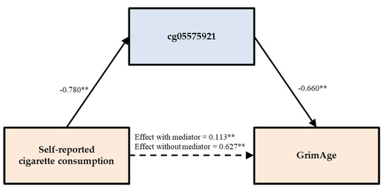 Genes Free Full Text The Effect Of Tobacco Smoking Differs Across Indices Of Dna Methylation Based Aging In An African American Sample Dna Methylation Based Indices Of Smoking Capture These Effects Html Genes Free Full Text The Effect Of Tobacco Smoking Differs Across Indices Of Dna Methylation Based Aging In An African American Sample Dna Methylation Based Indices Of Smoking Capture These Effects Html