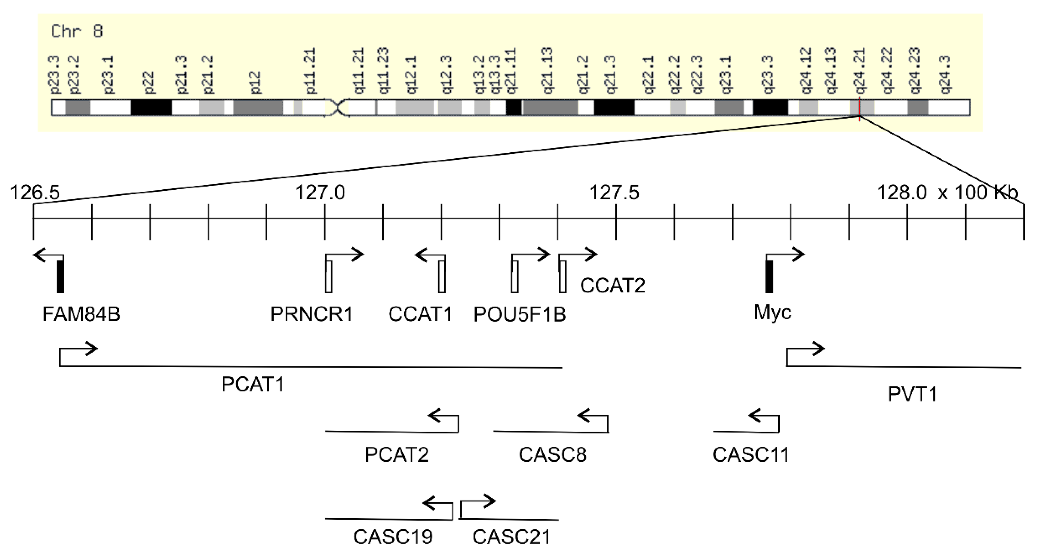 Genes 11 00312 g001