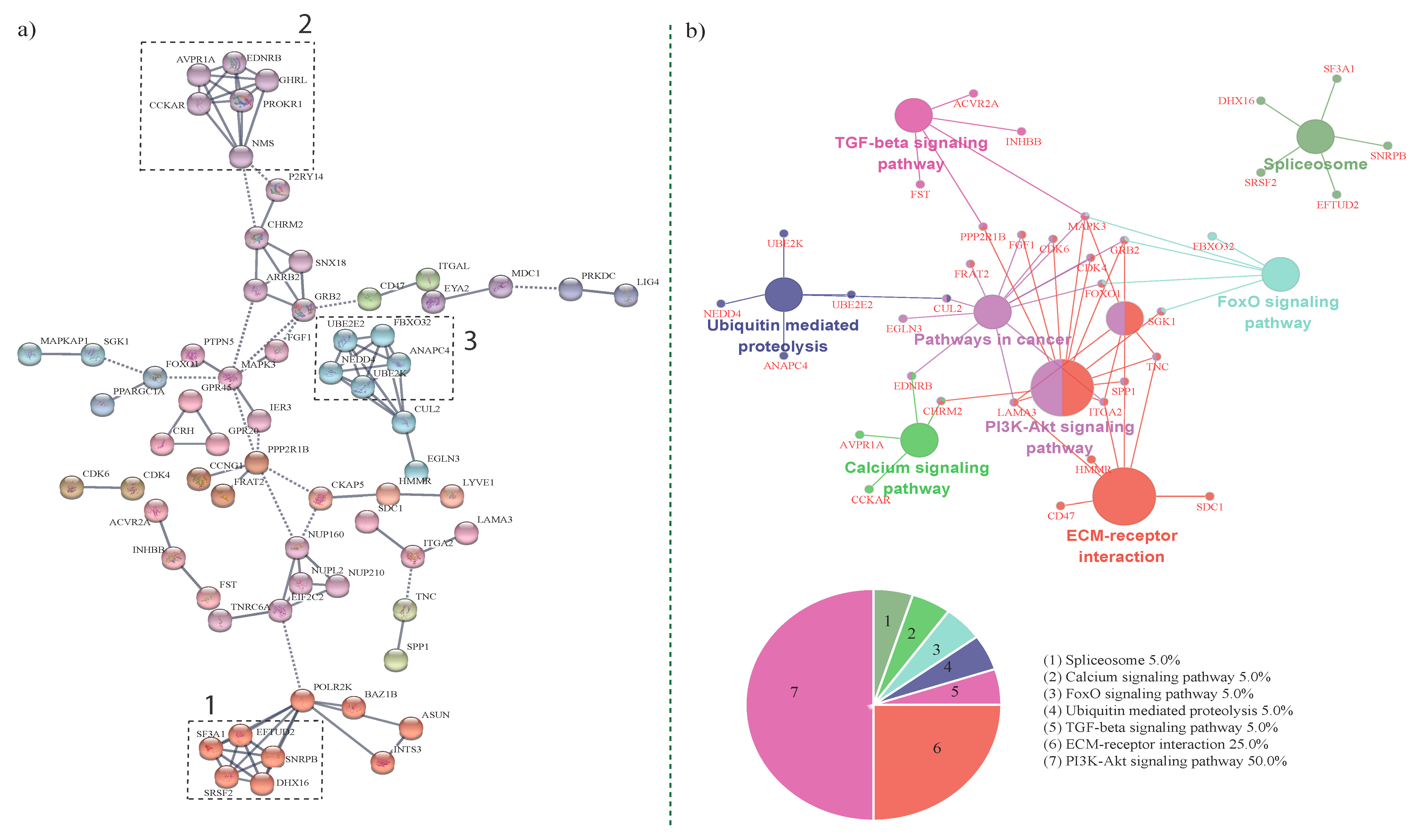 Genes 11 00316 g003