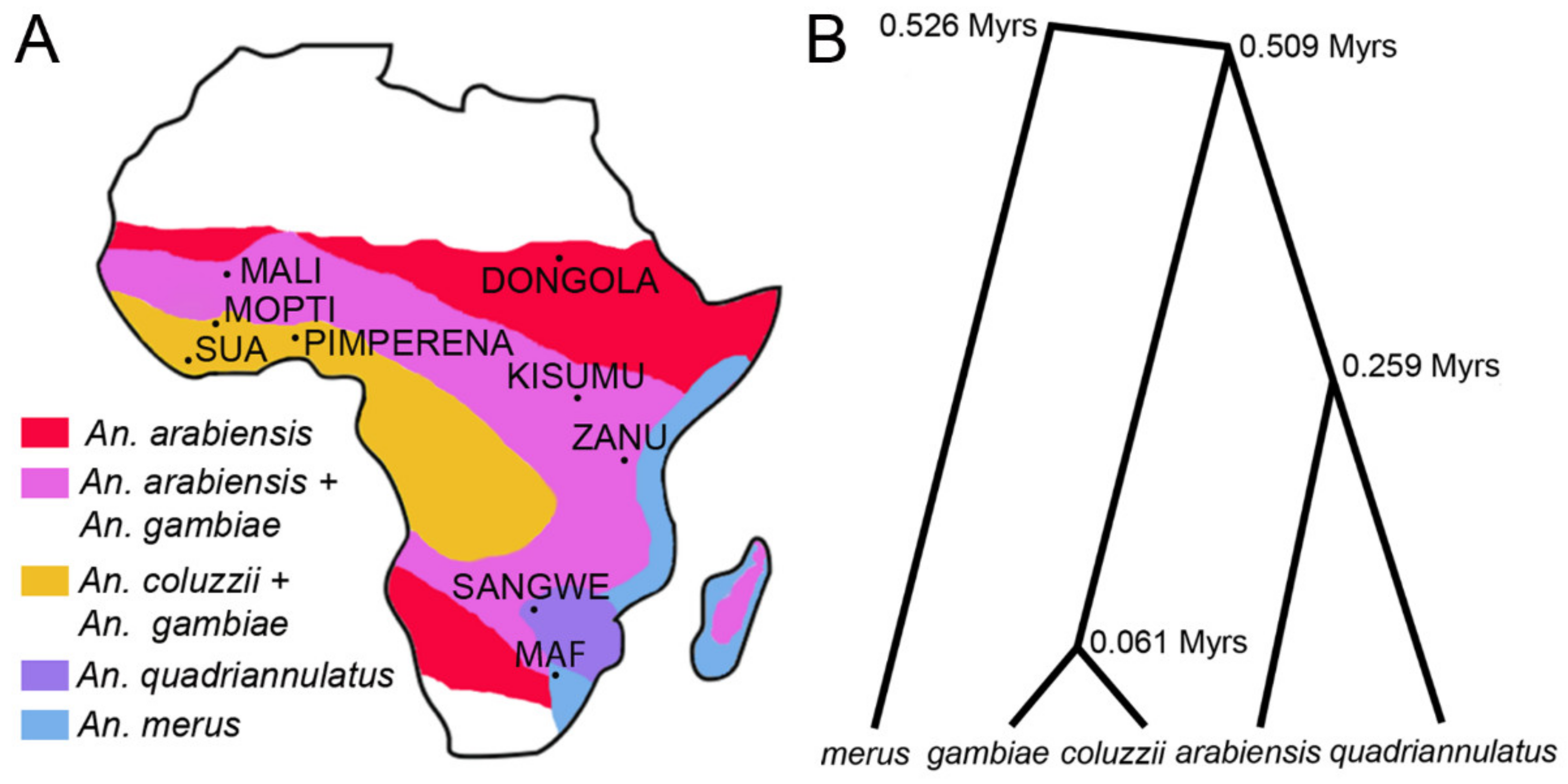 Genes 11 00327 g002 Genes 11 00327 g002