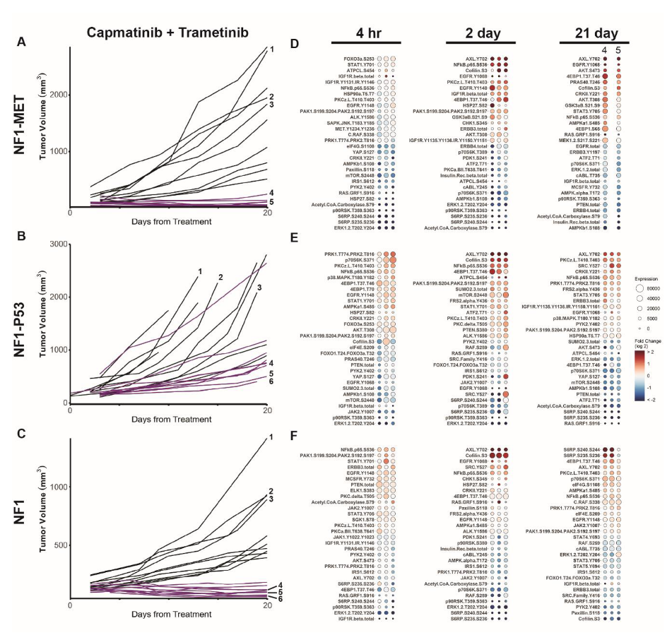 Genes 11 00331 g003 Genes 11 00331 g003