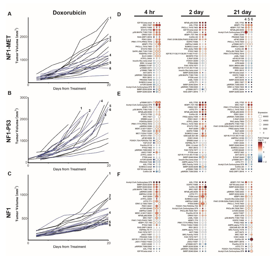 Genes 11 00331 g004 Genes 11 00331 g004