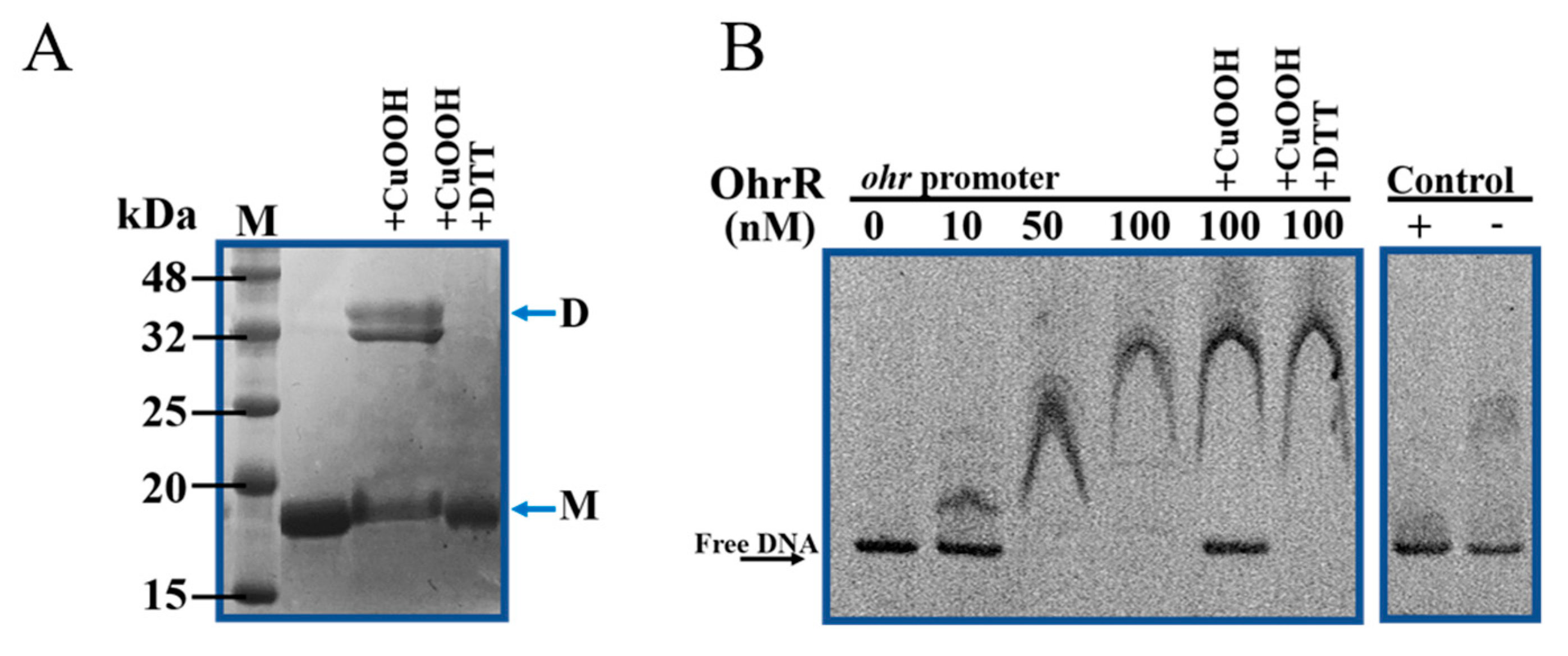 Genes 11 00335 g004