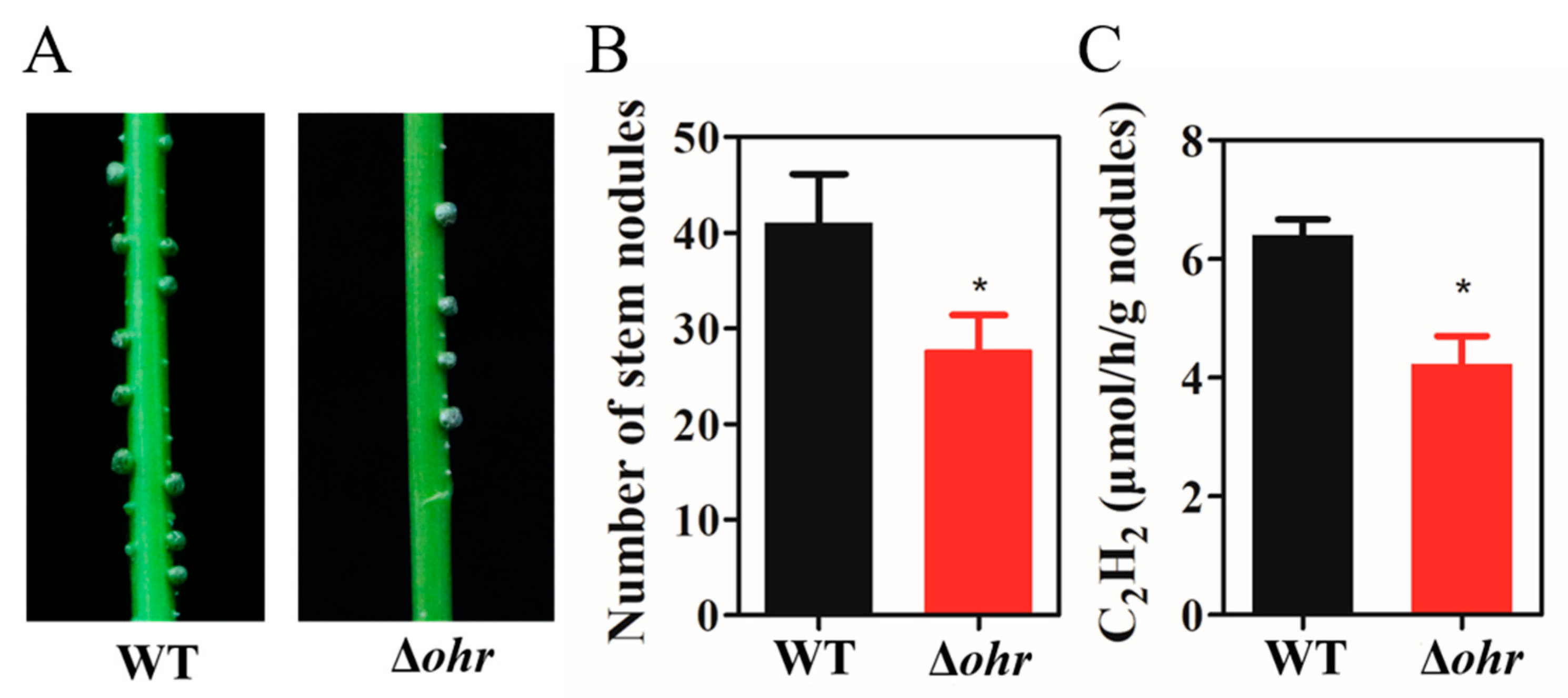 Genes 11 00335 g006