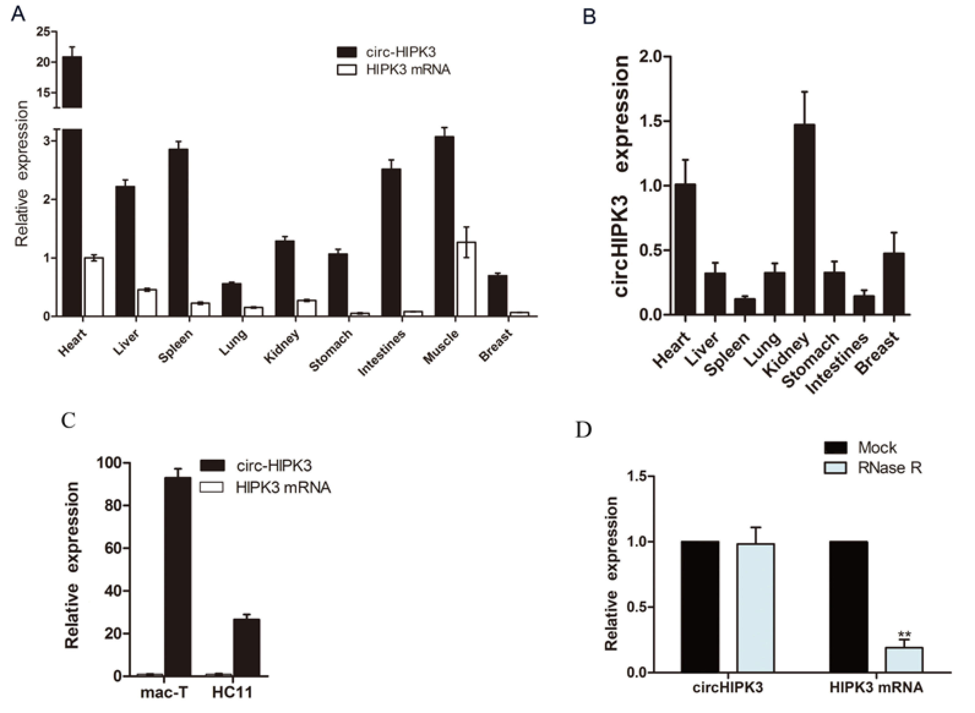 Genes 11 00336 g002