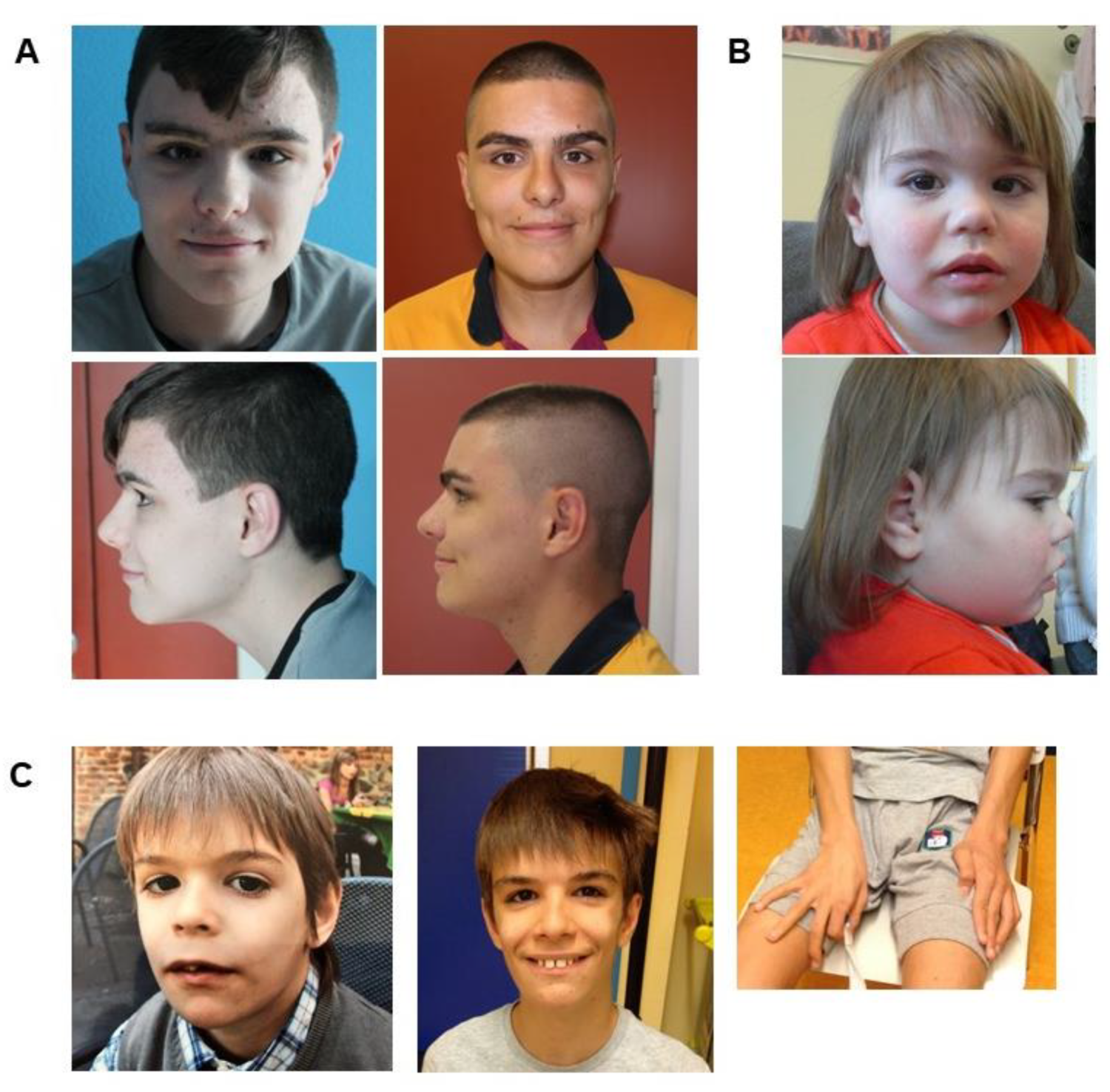 Genes 11 00344 g001 Genes 11 00344 g001