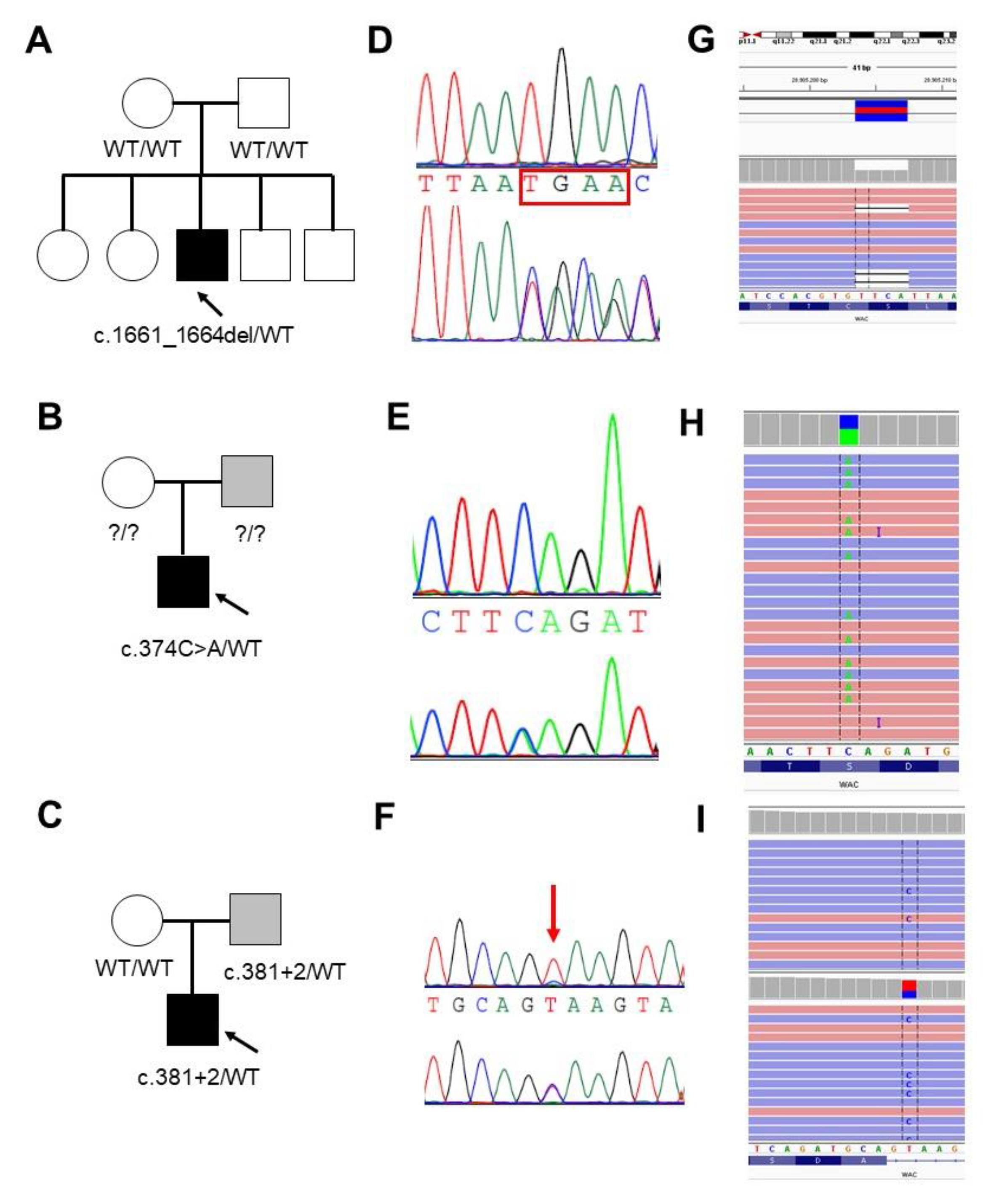 Genes 11 00344 g002 Genes 11 00344 g002