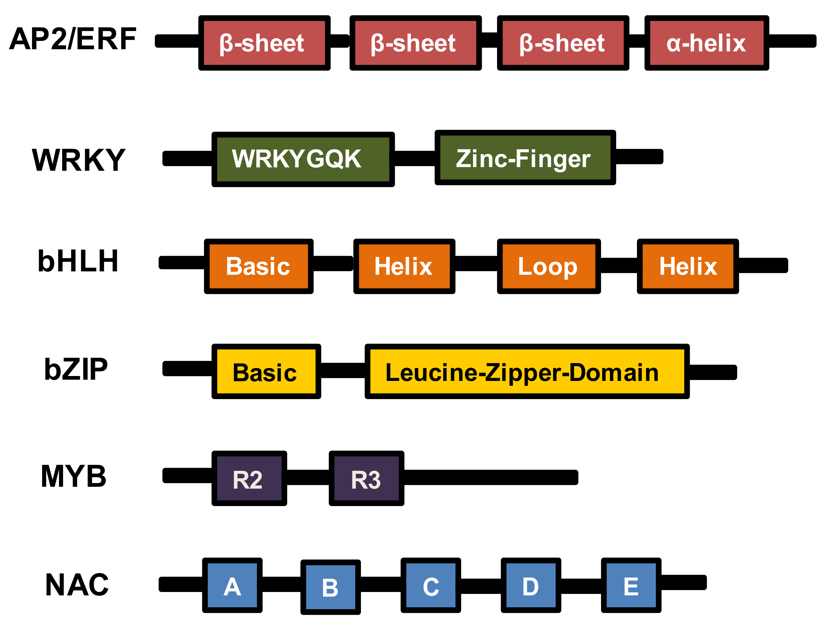 Genes 11 00346 g001 Genes 11 00346 g001