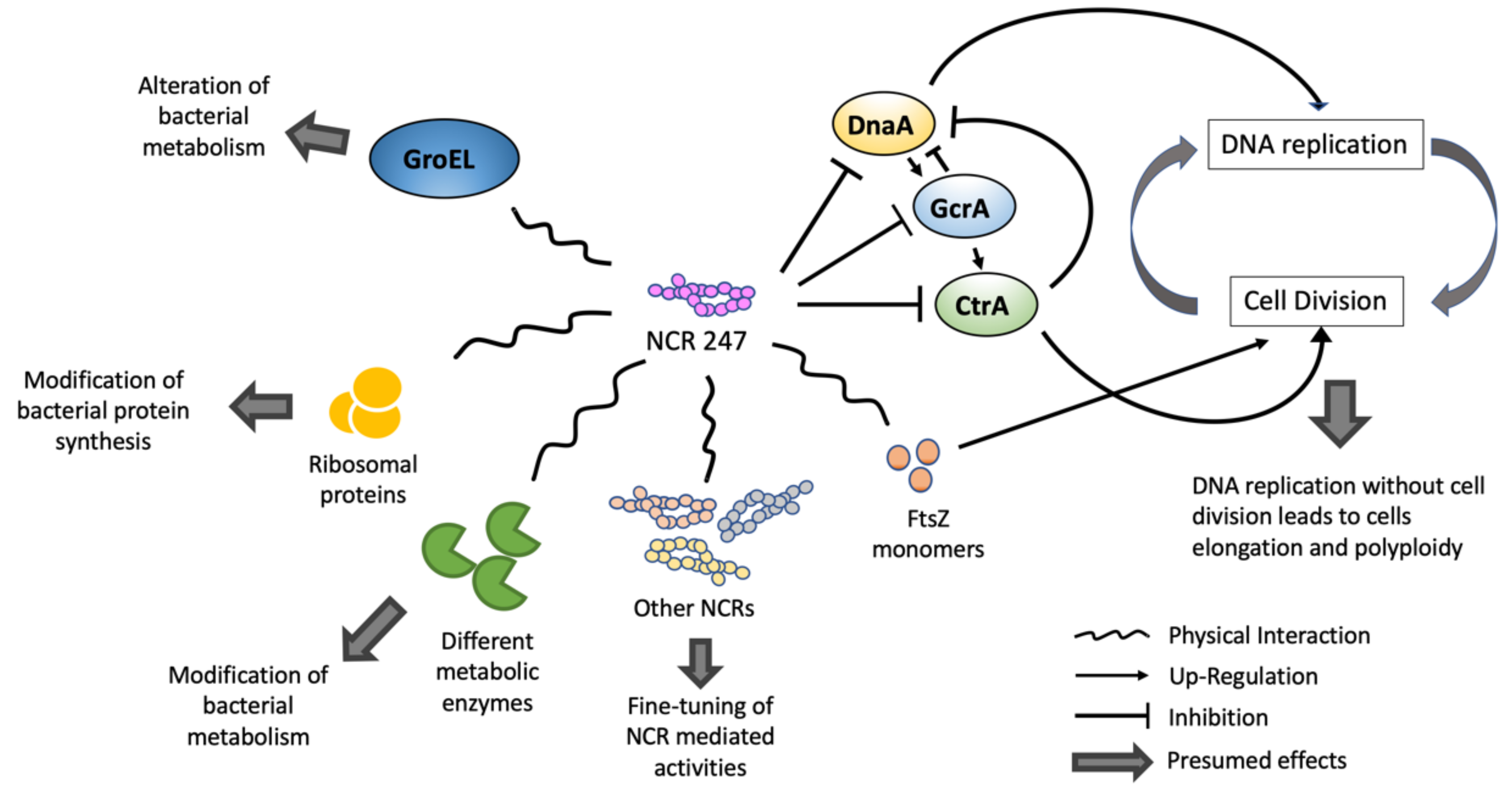 Genes 11 00348 g003 Genes 11 00348 g003