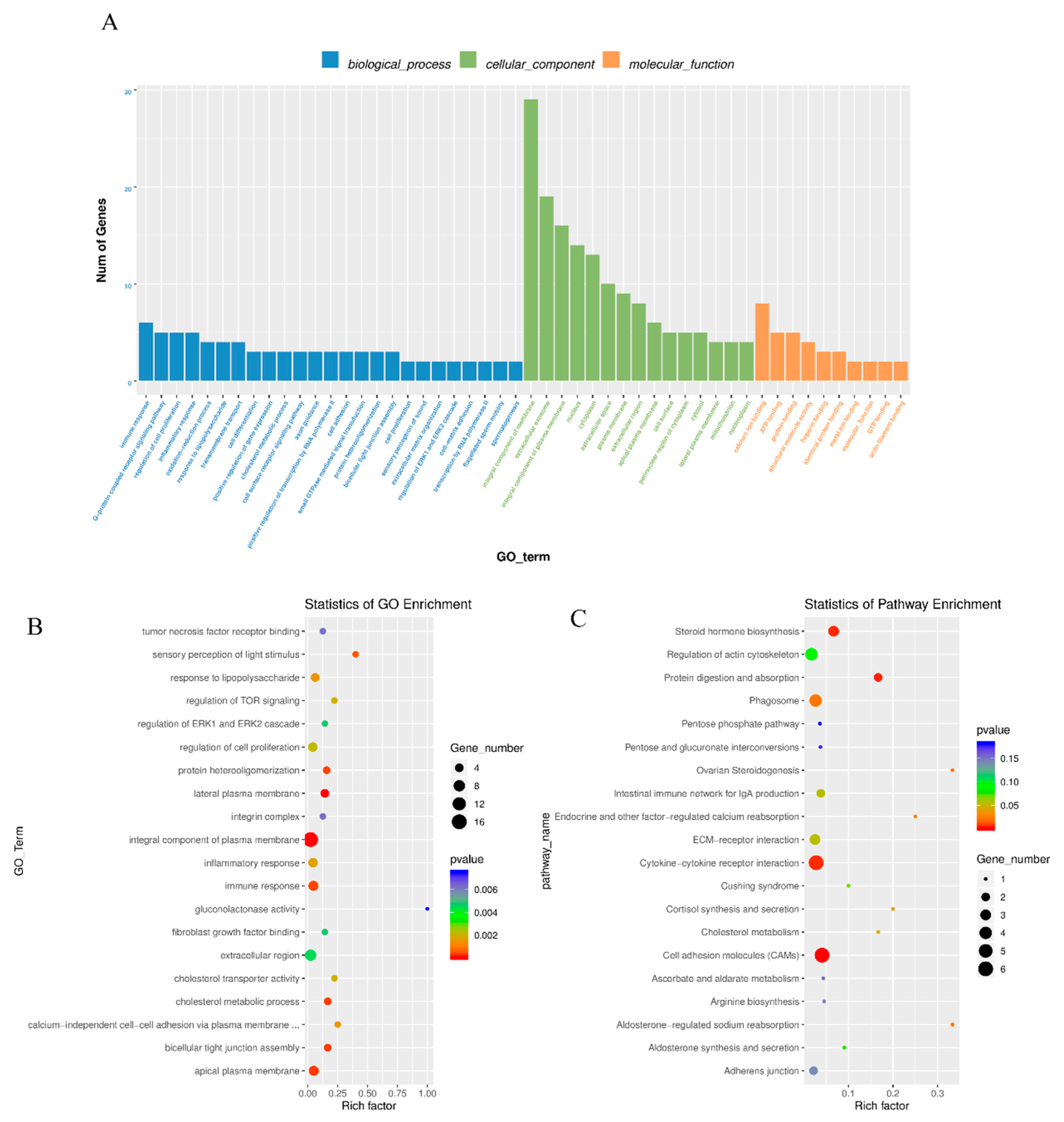 Genes 11 00349 g004 Genes 11 00349 g004