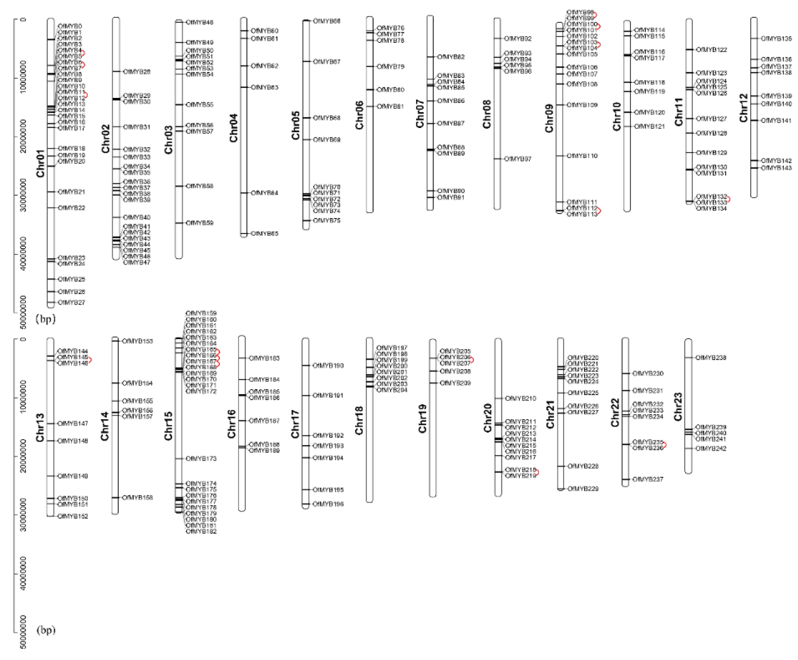 Genes 11 00353 g001 Genes 11 00353 g001
