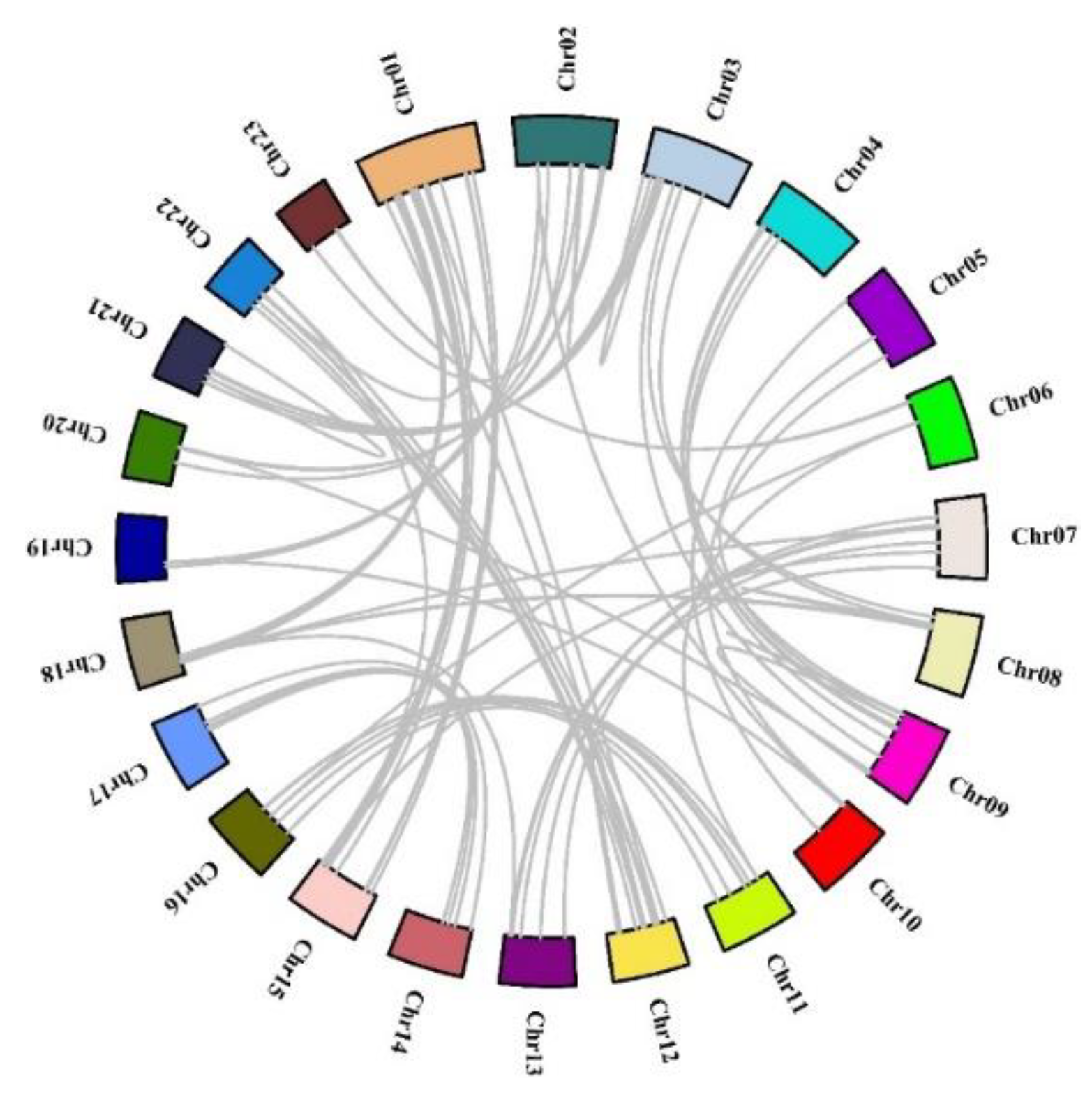Genes 11 00353 g002 Genes 11 00353 g002