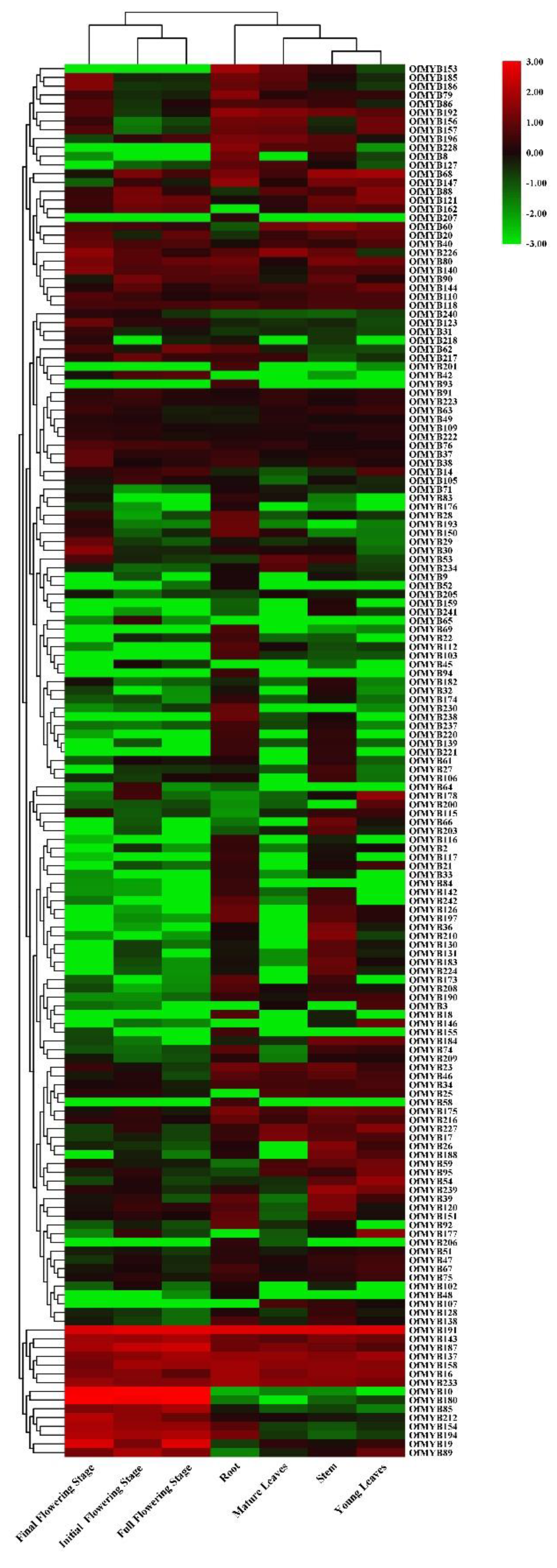 Genes 11 00353 g003 Genes 11 00353 g003