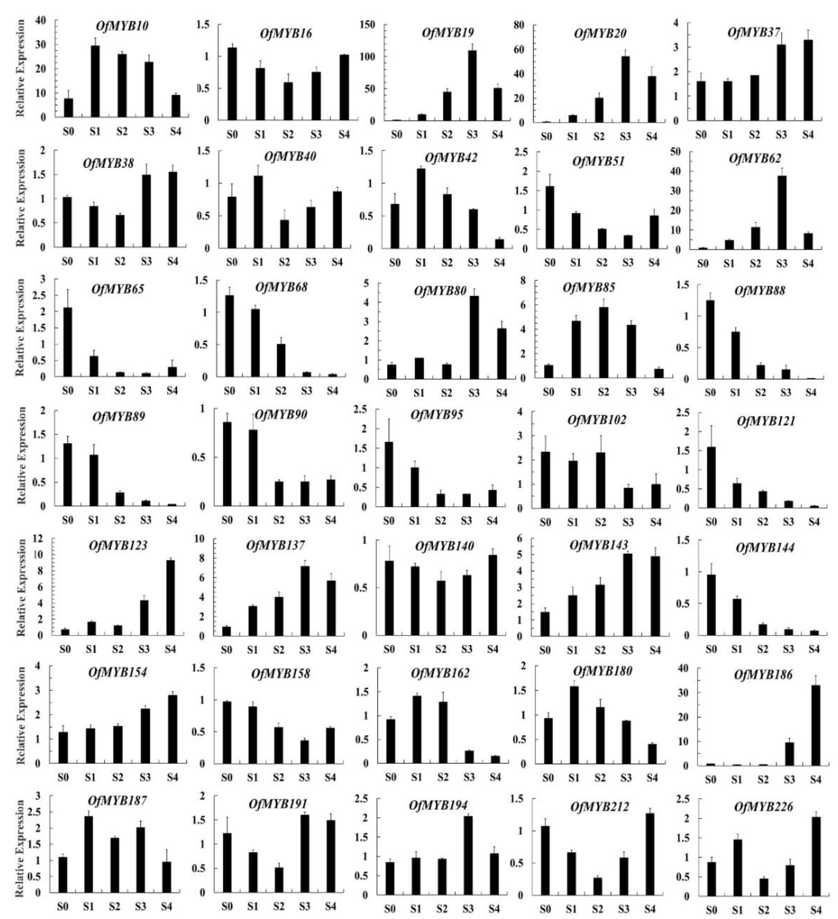 Genes 11 00353 g004 Genes 11 00353 g004