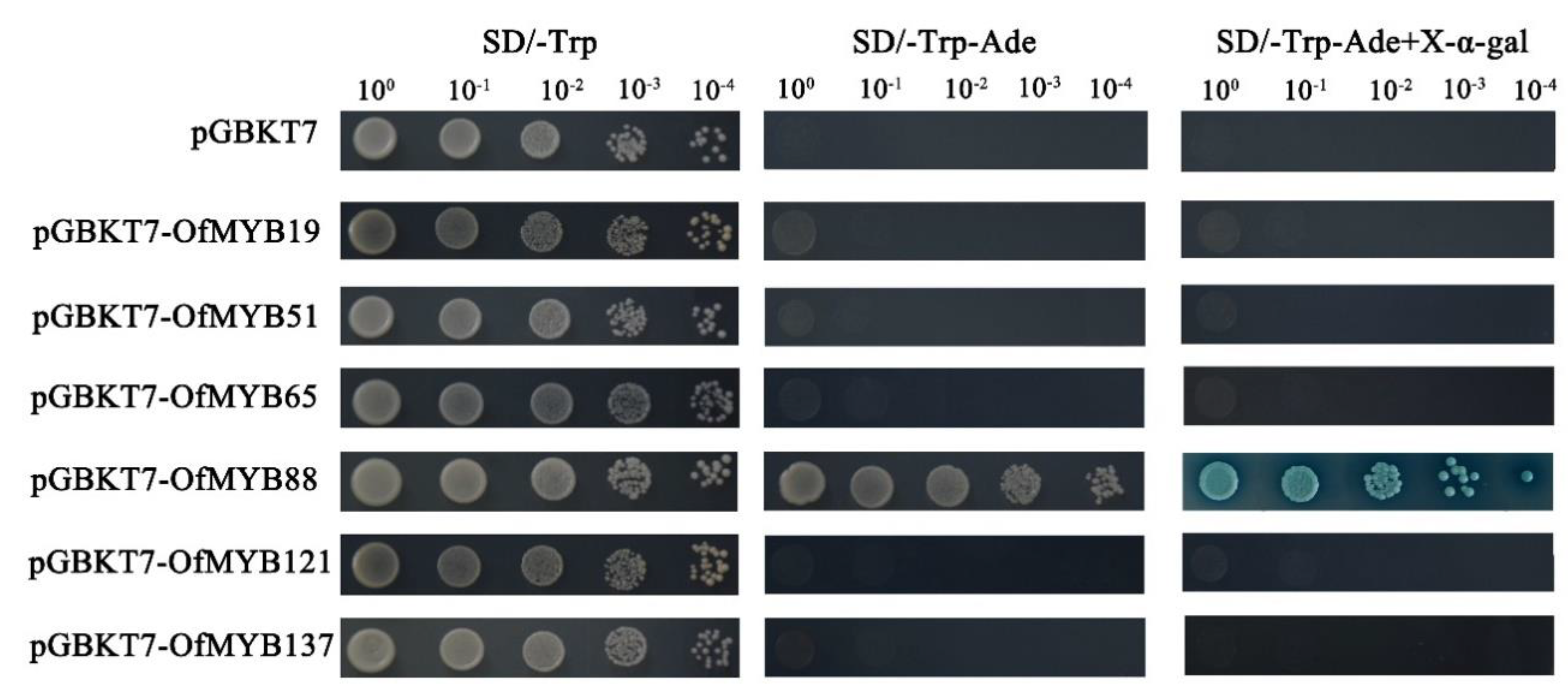 Genes 11 00353 g007 Genes 11 00353 g007