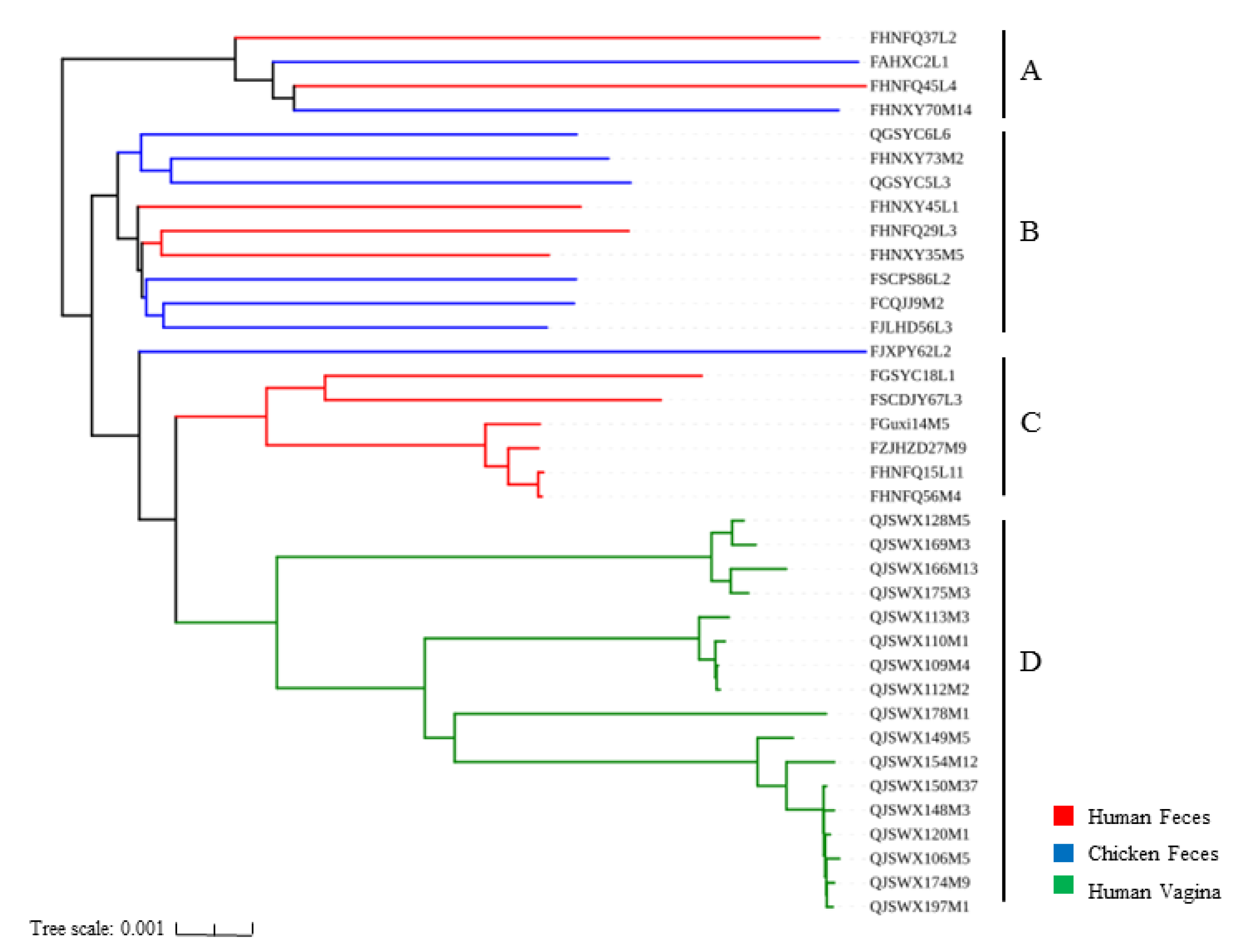 Genes 11 00360 g004