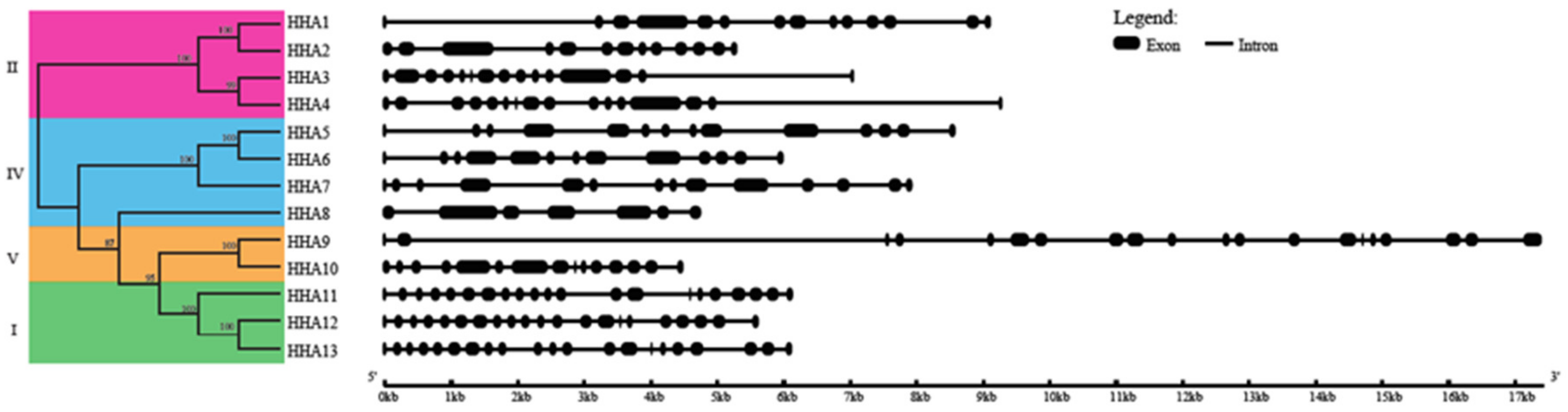 Genes 11 00361 g002 Genes 11 00361 g002