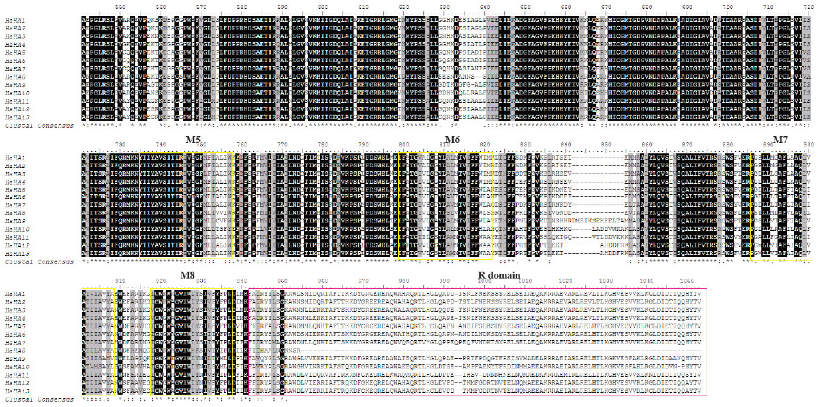 how to identify exon and intron in sequence bioedit how to identify exon and intron in sequence bioedit