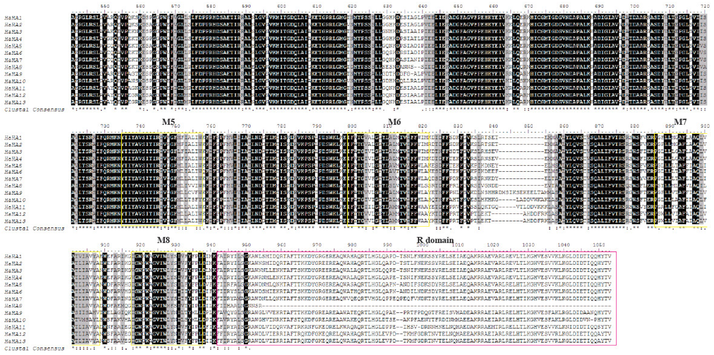 how to identify exon and intron in sequence bioedit