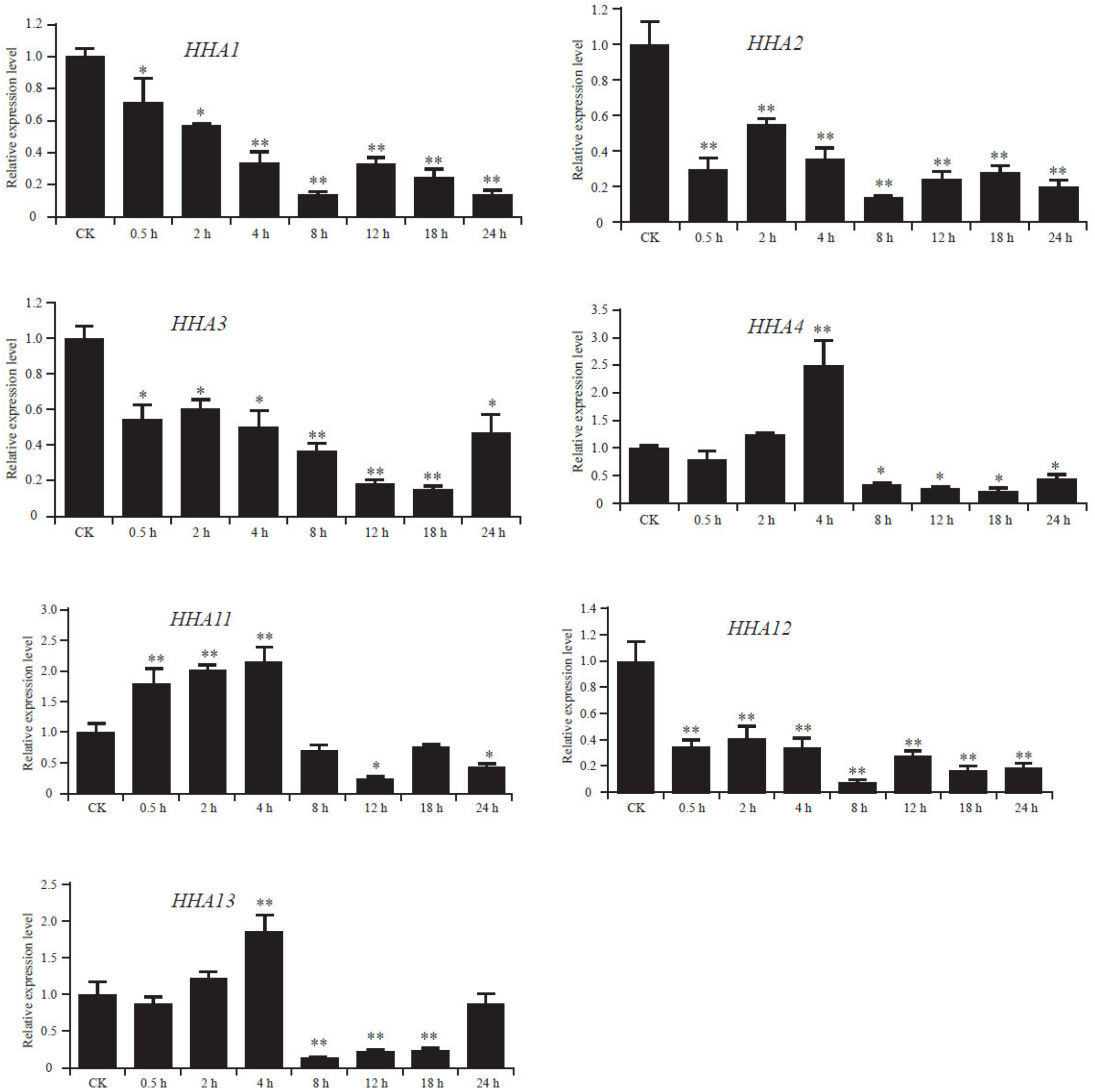 Genes 11 00361 g006 Genes 11 00361 g006