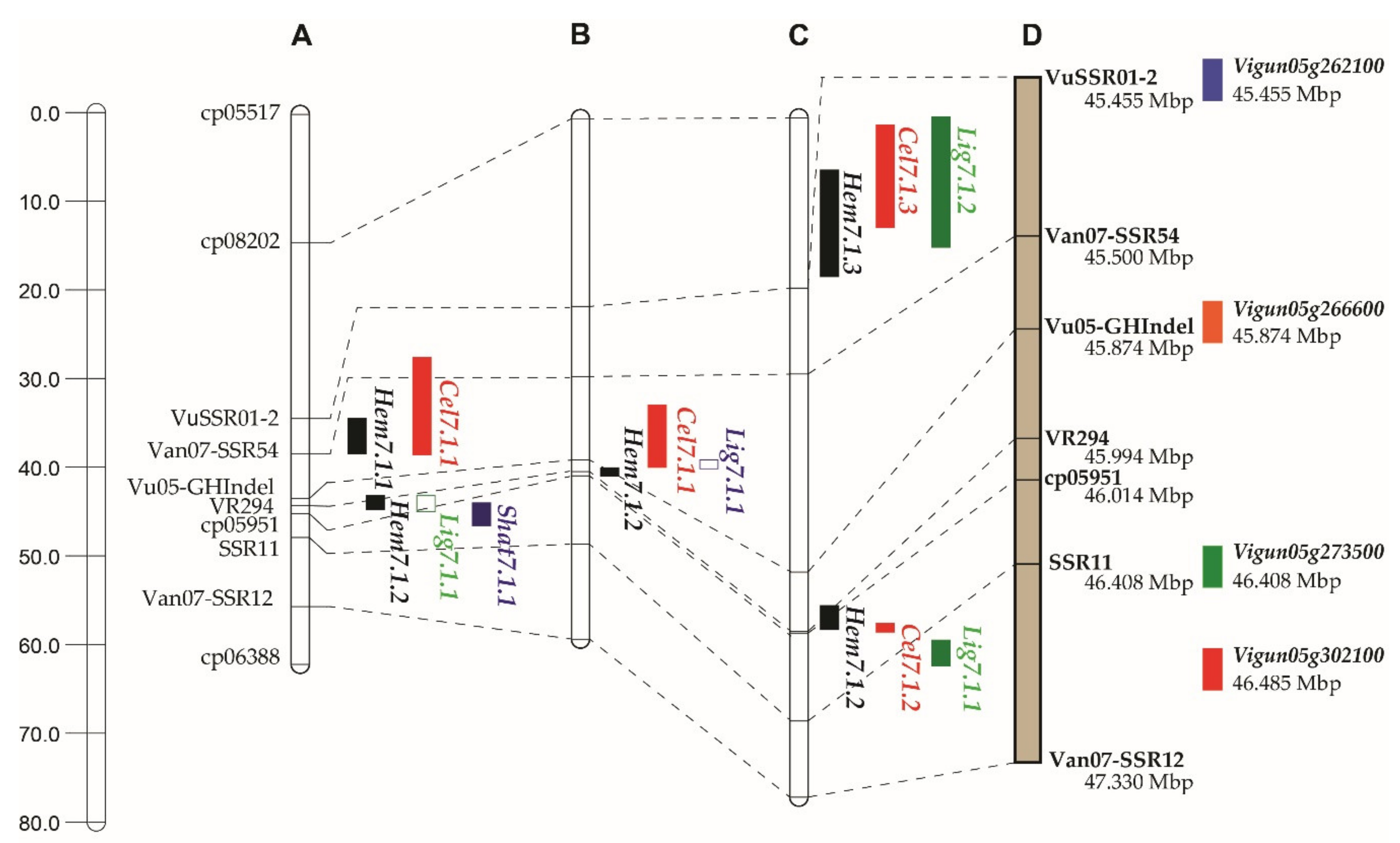 Genes 11 00363 g003